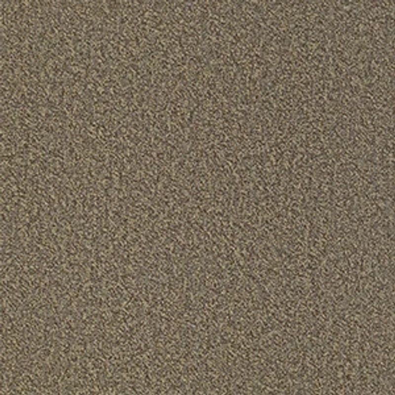 Scoreboard II 28 Broadloom Carpet in 4th Quarter color, 12ft width, made of 100% nylon