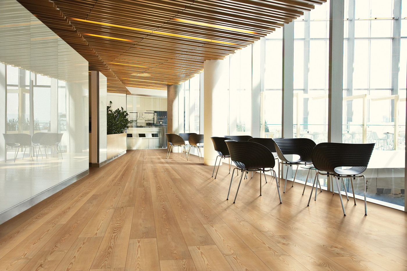 Berlin Pine flooring, shown in a room