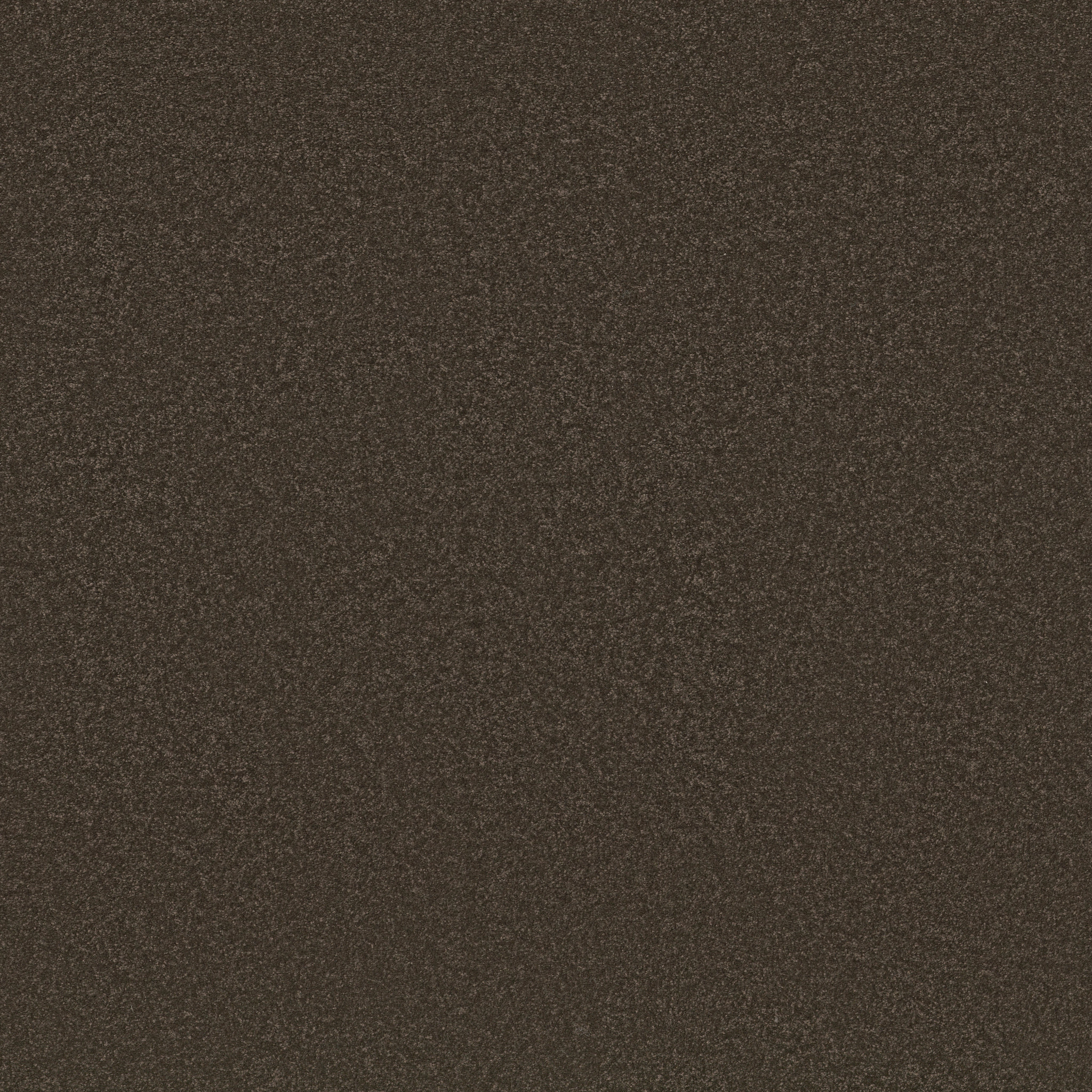 AWAKEN SPIRIT I 12' WOOD GRAIN MAIN