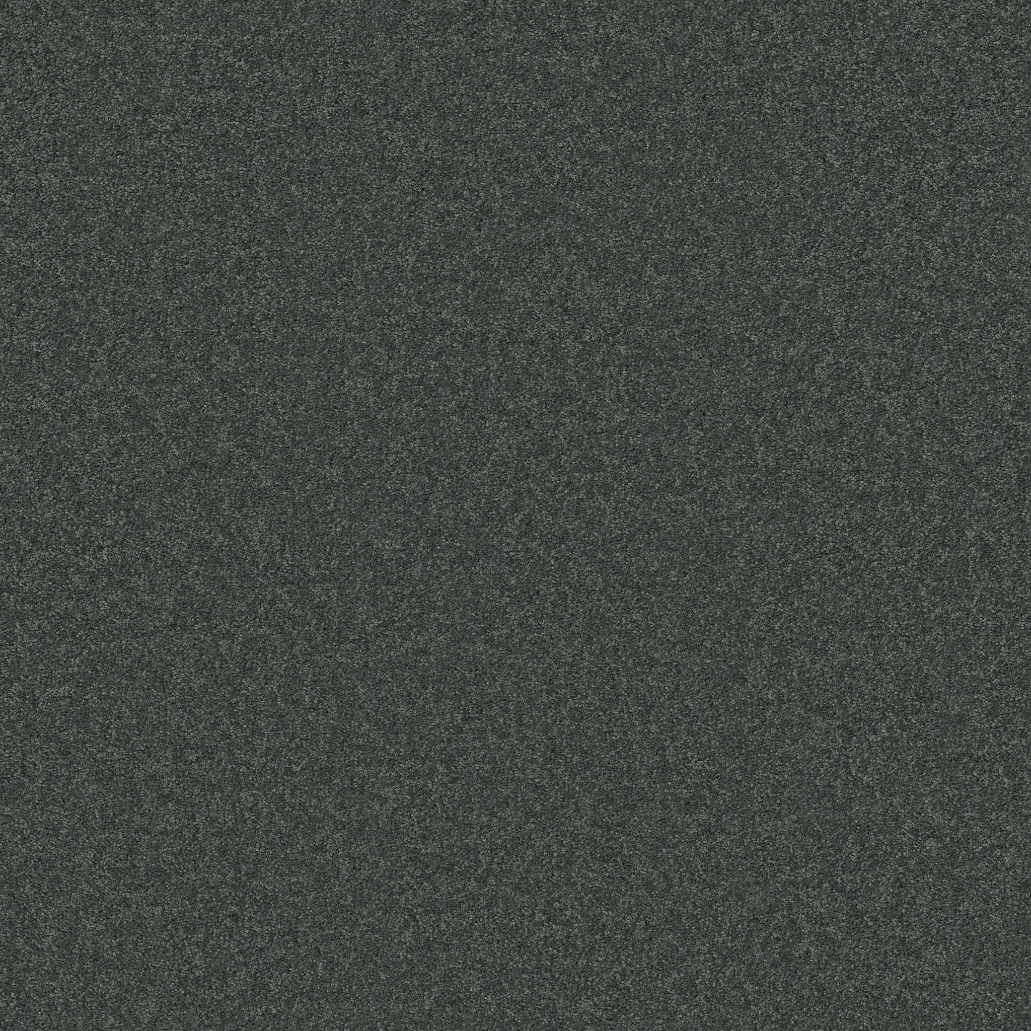 LOOK FORWARD SEACLIFF HEIGHTS MAIN