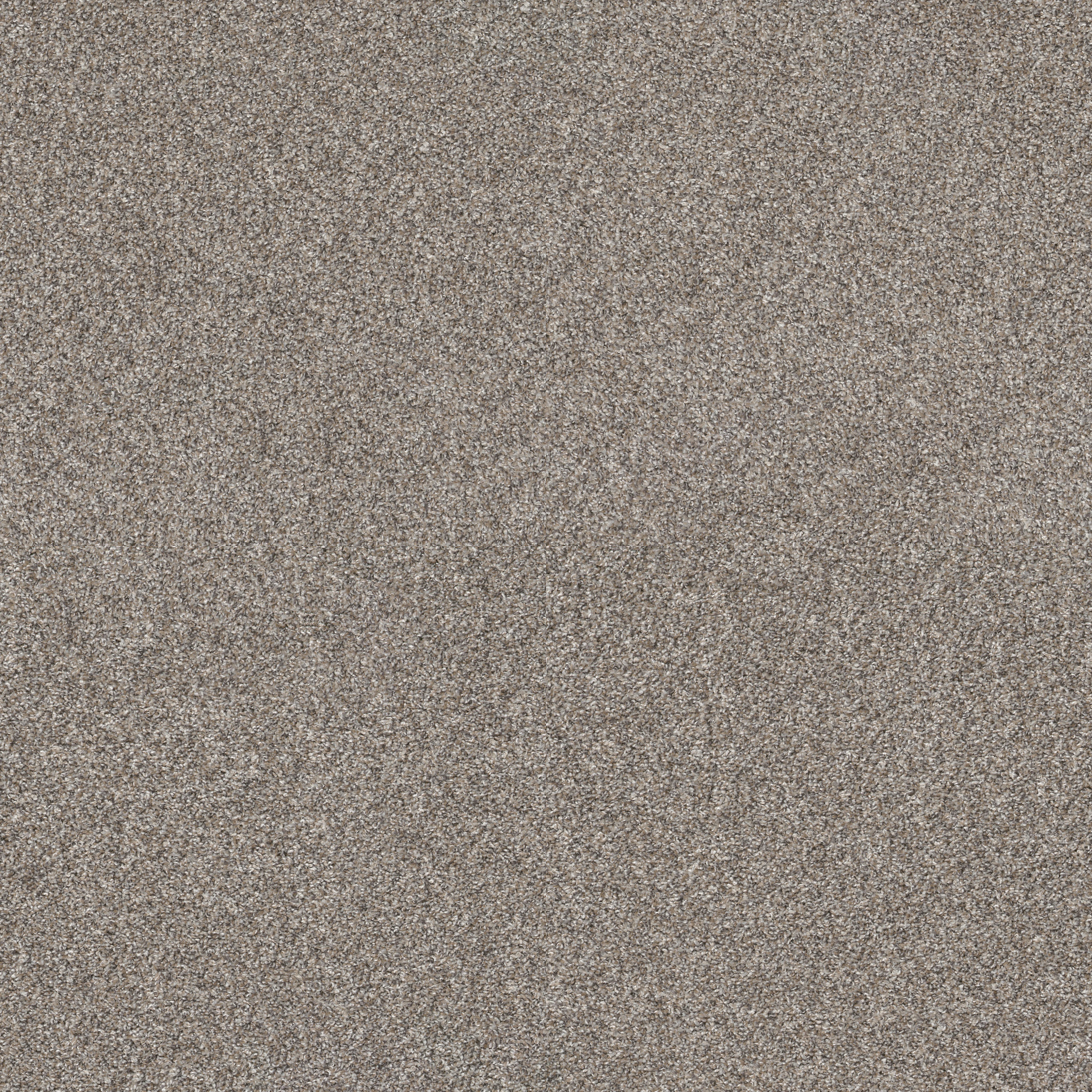 SOFT EFFERVESCENCE MUSHROOM MAIN