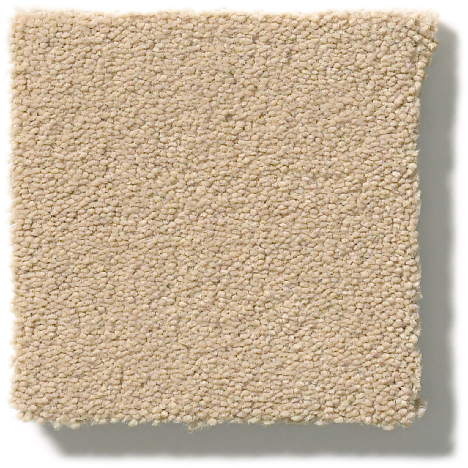 PERFECT CHOICE SUGAR COOKIE SWATCH