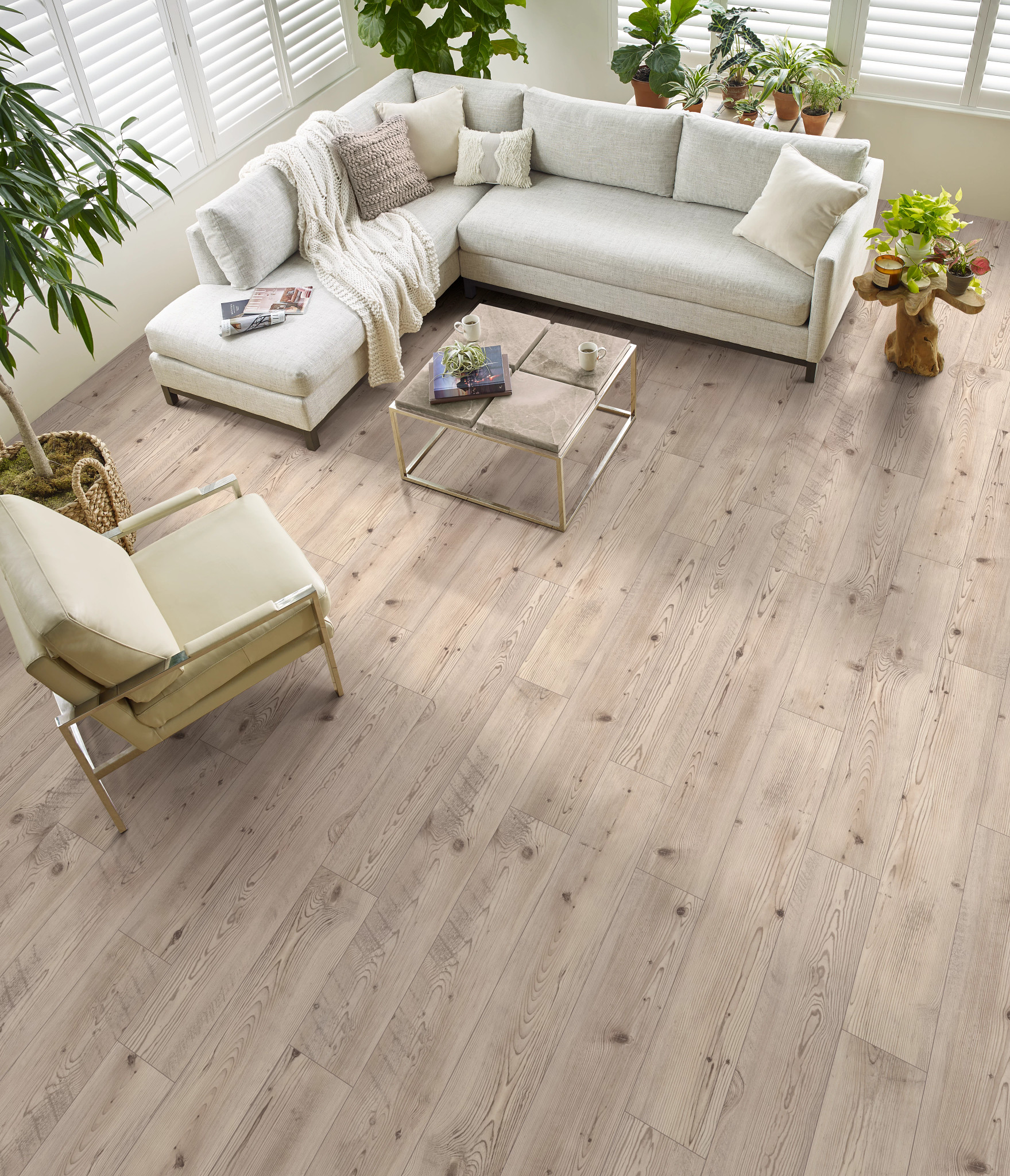 ALLEGIANCE + ACC PRESTIQUE PINE ROOM