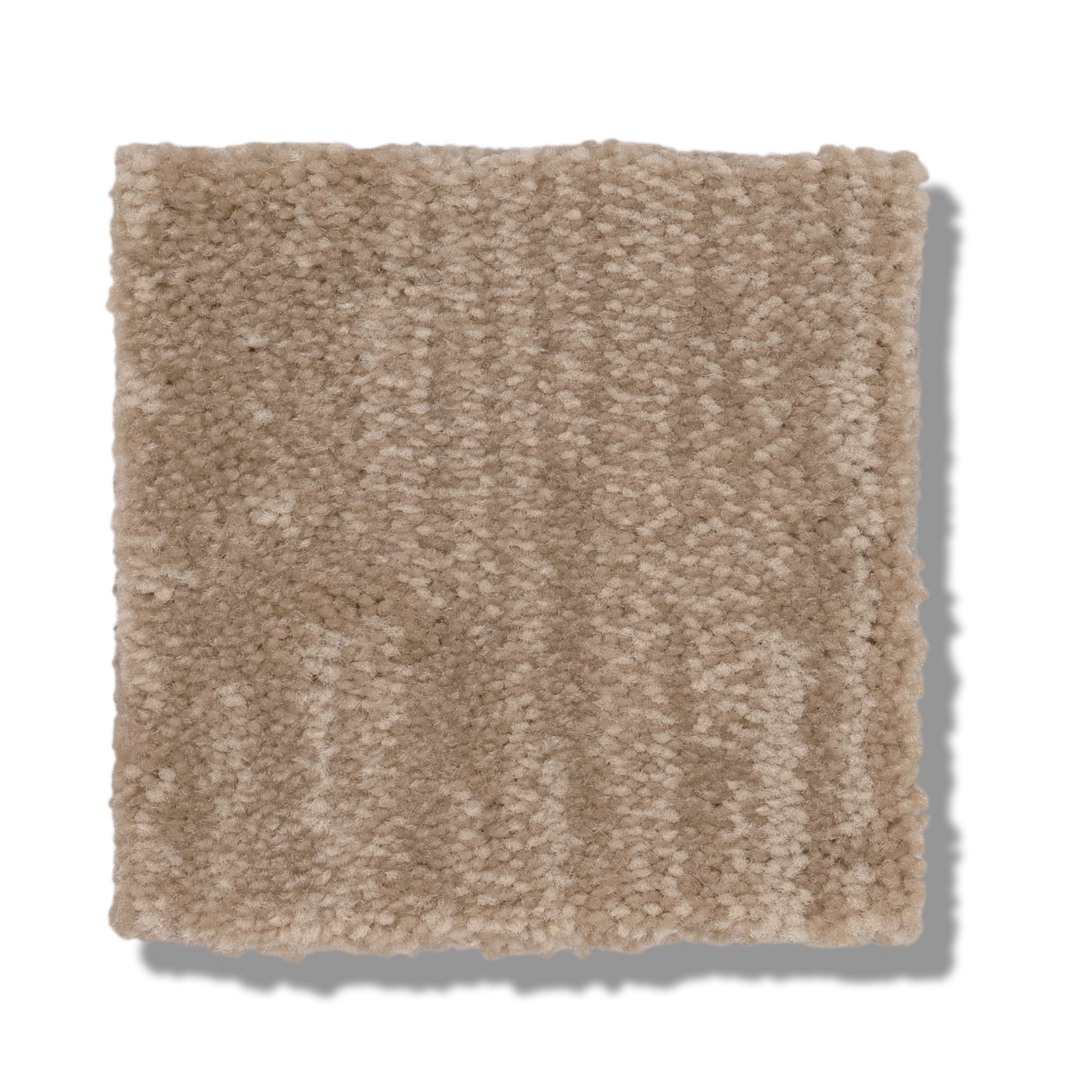 INSIGHTFUL JOURNEY NATURAL BEAUTY SWATCH