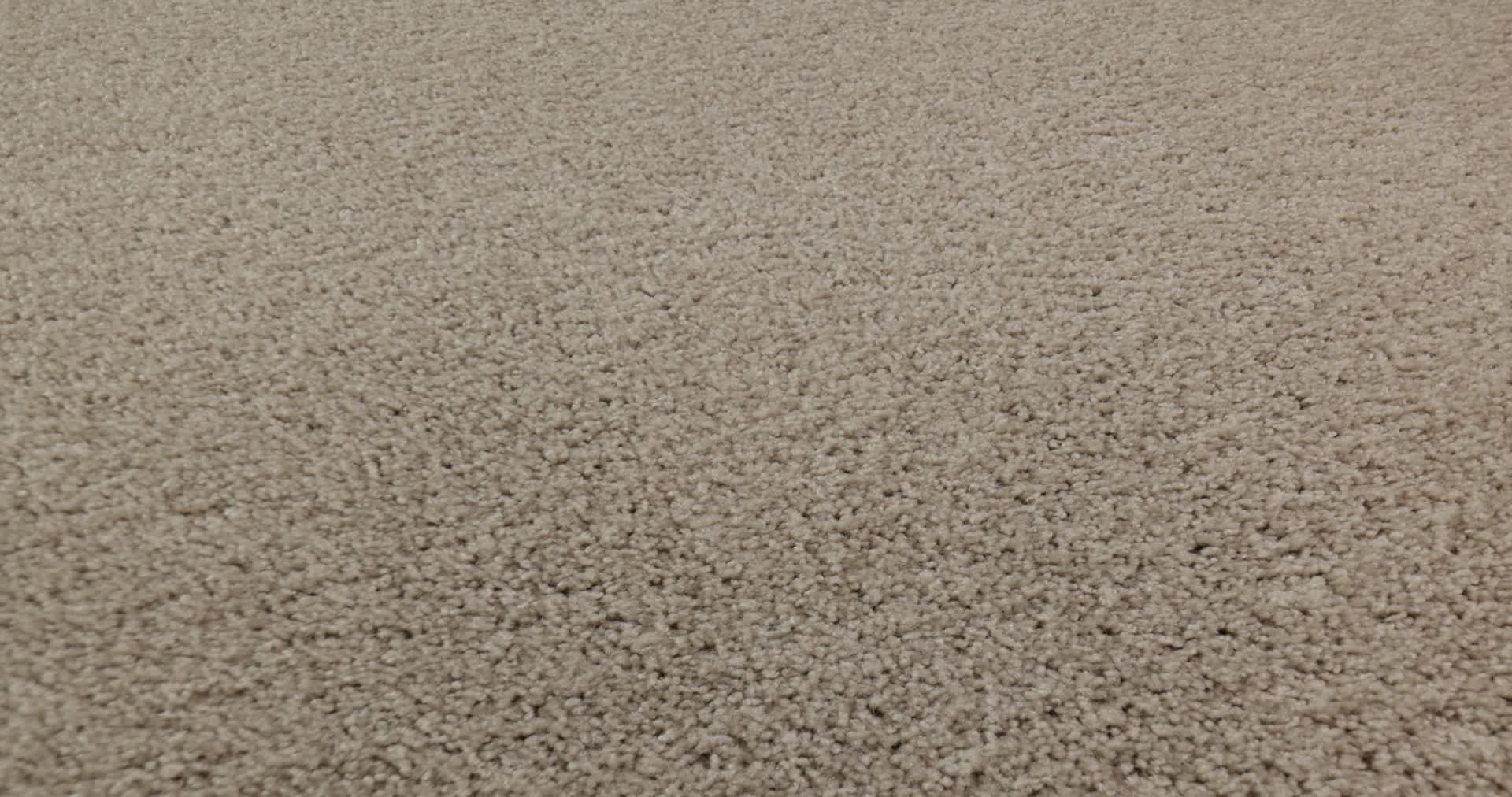 MAKE IT YOURS (S) ABALONE 360PROD