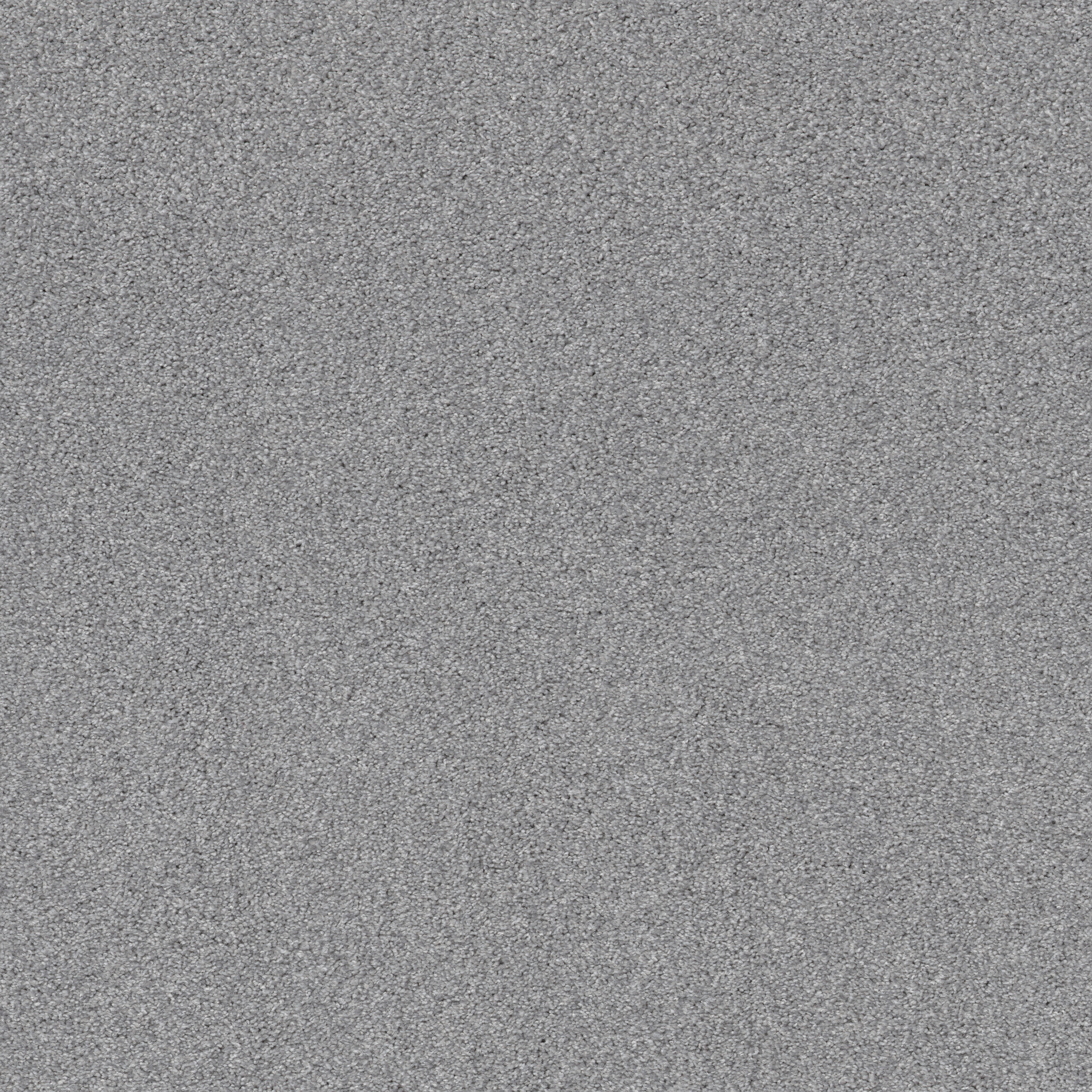 COZY HARBOR II COOL HARMONY MAIN