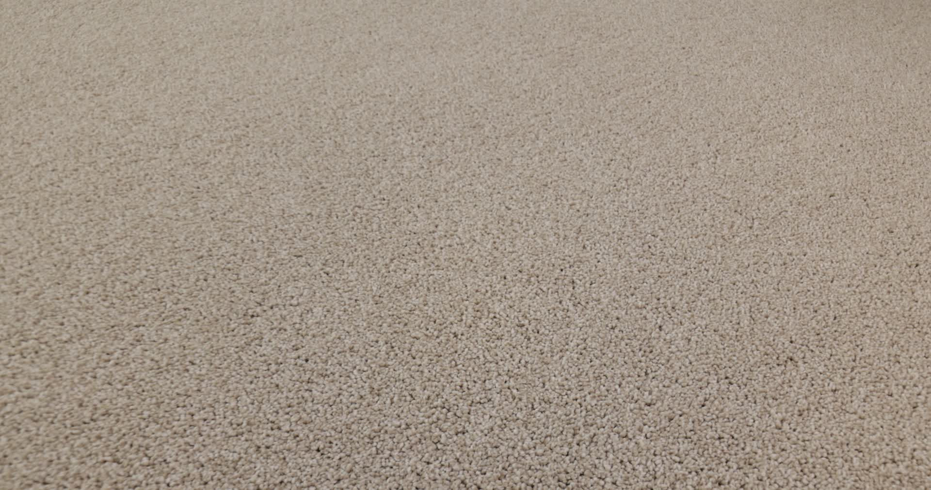 NEW MEMORIES T CAFE LATTE 360PROD