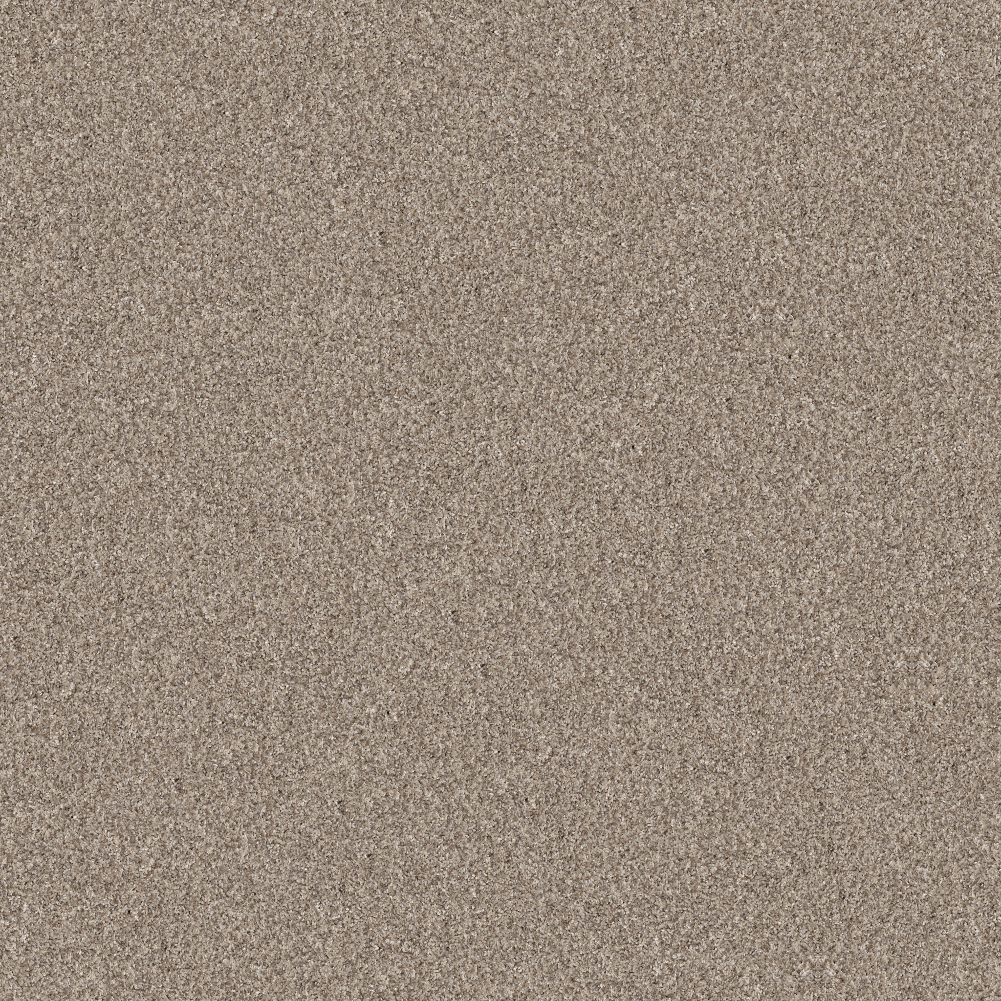 YES YOU CAN III 12' NATURAL MAIN