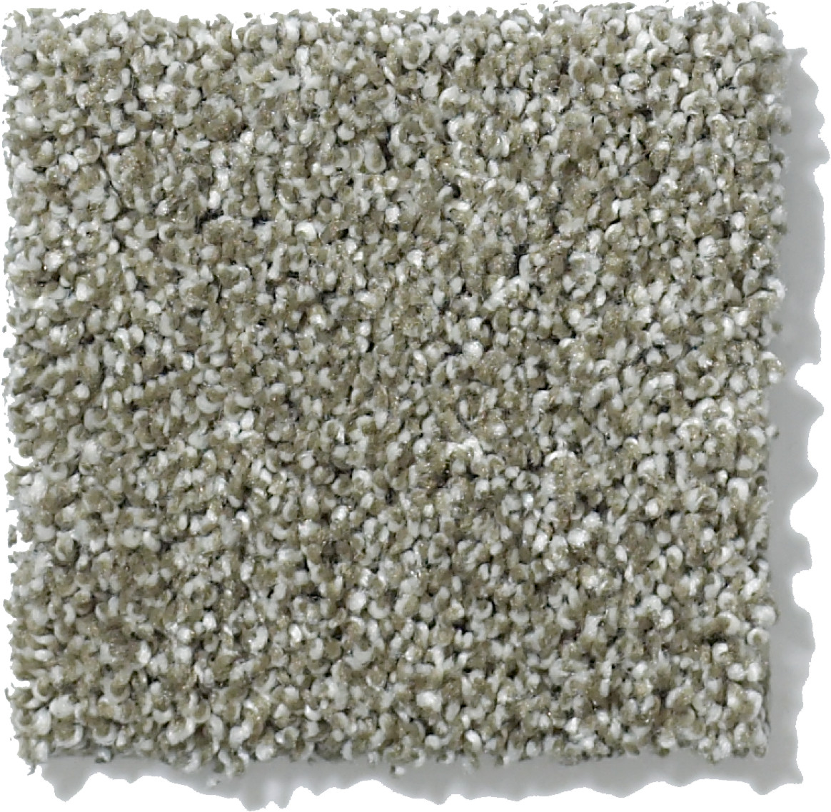 CANVAS SILVER SAGE SWATCH