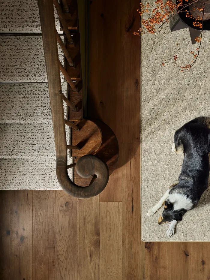 Abbey'S Road - Carpet & Rugs in Chic Taupe | AndersonTuftex Abbey'S Road - Carpet & Rugs in Chic Taupe | AndersonTuftex