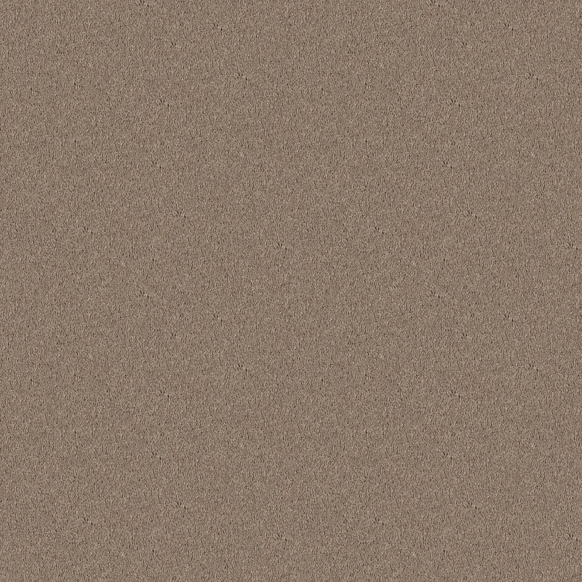 Shaw Floors NEWBERN CLASSIC 12' — ANTIQUE SILK