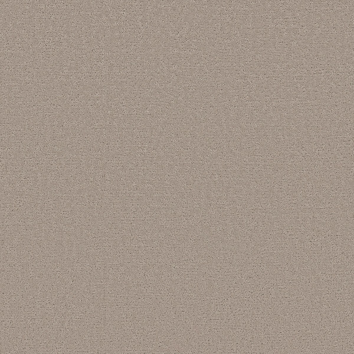 CANVAS COMFORT — BACK PATIO