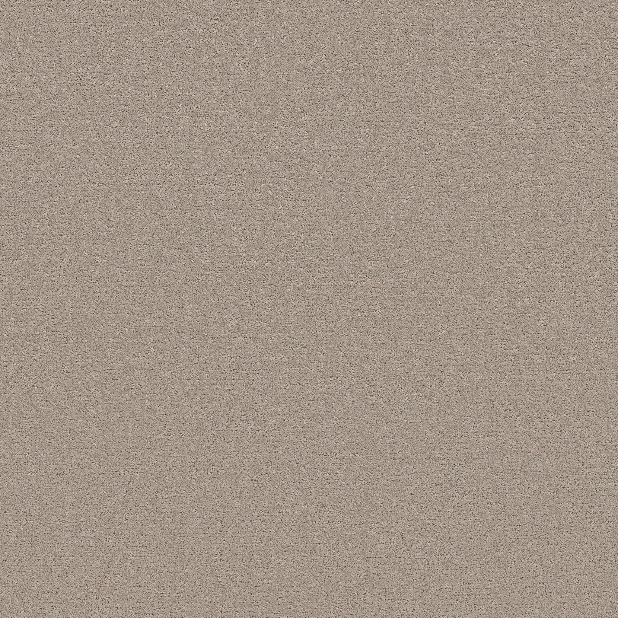 REFINED CANVAS BACK PATIO MAIN