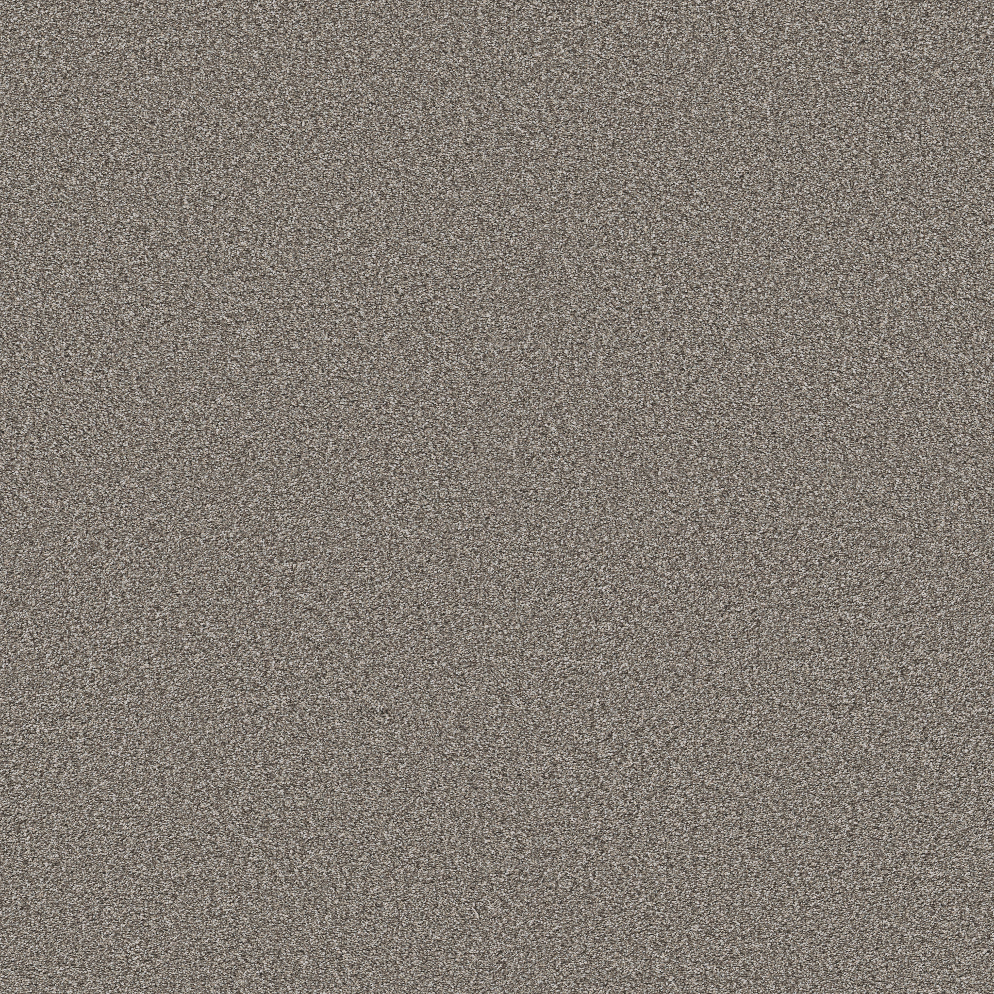 TIMELESS TONE NIGHT OWL MAIN