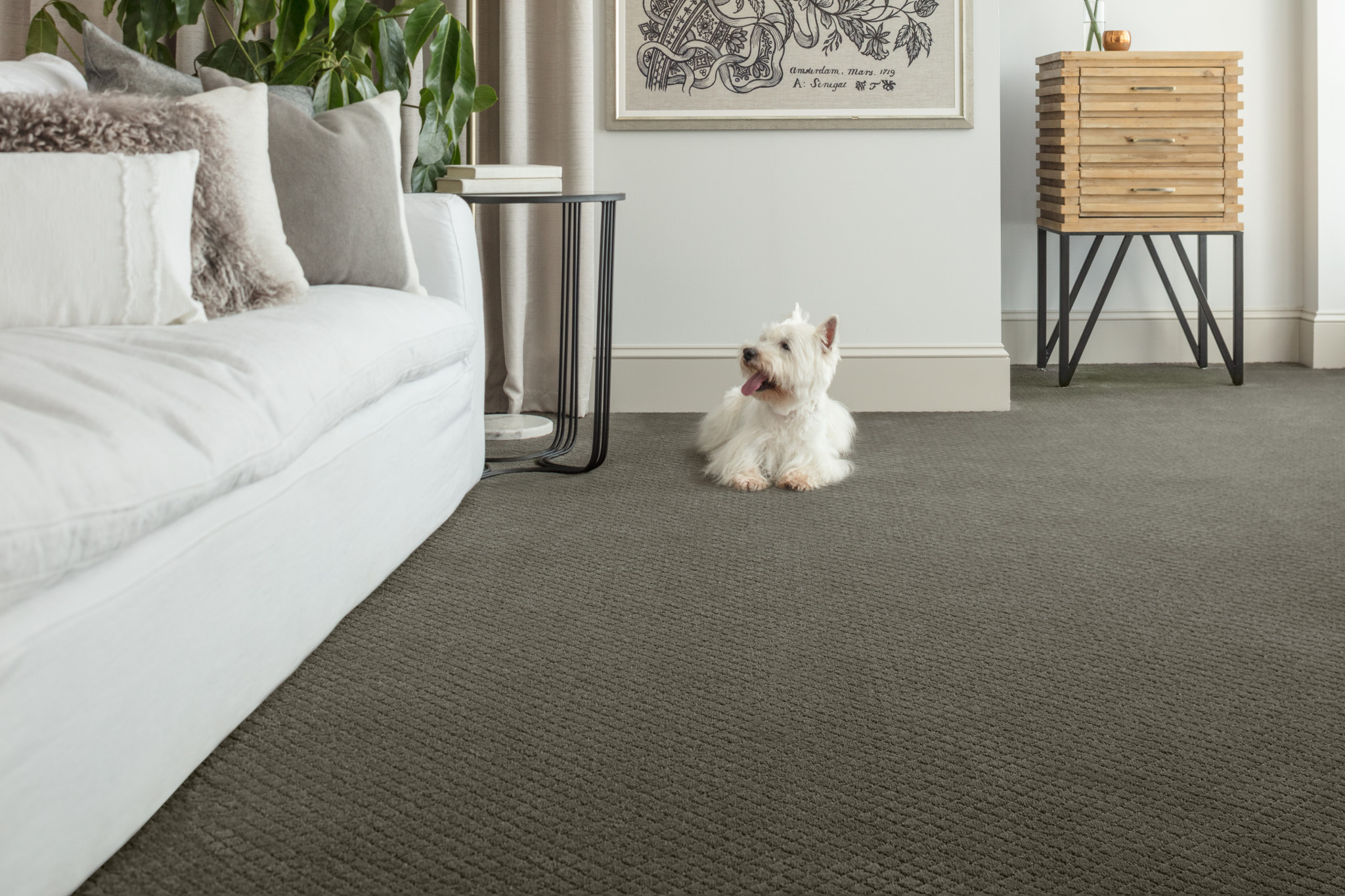 PAWNACHE SMOKED OYSTER StaticImage01