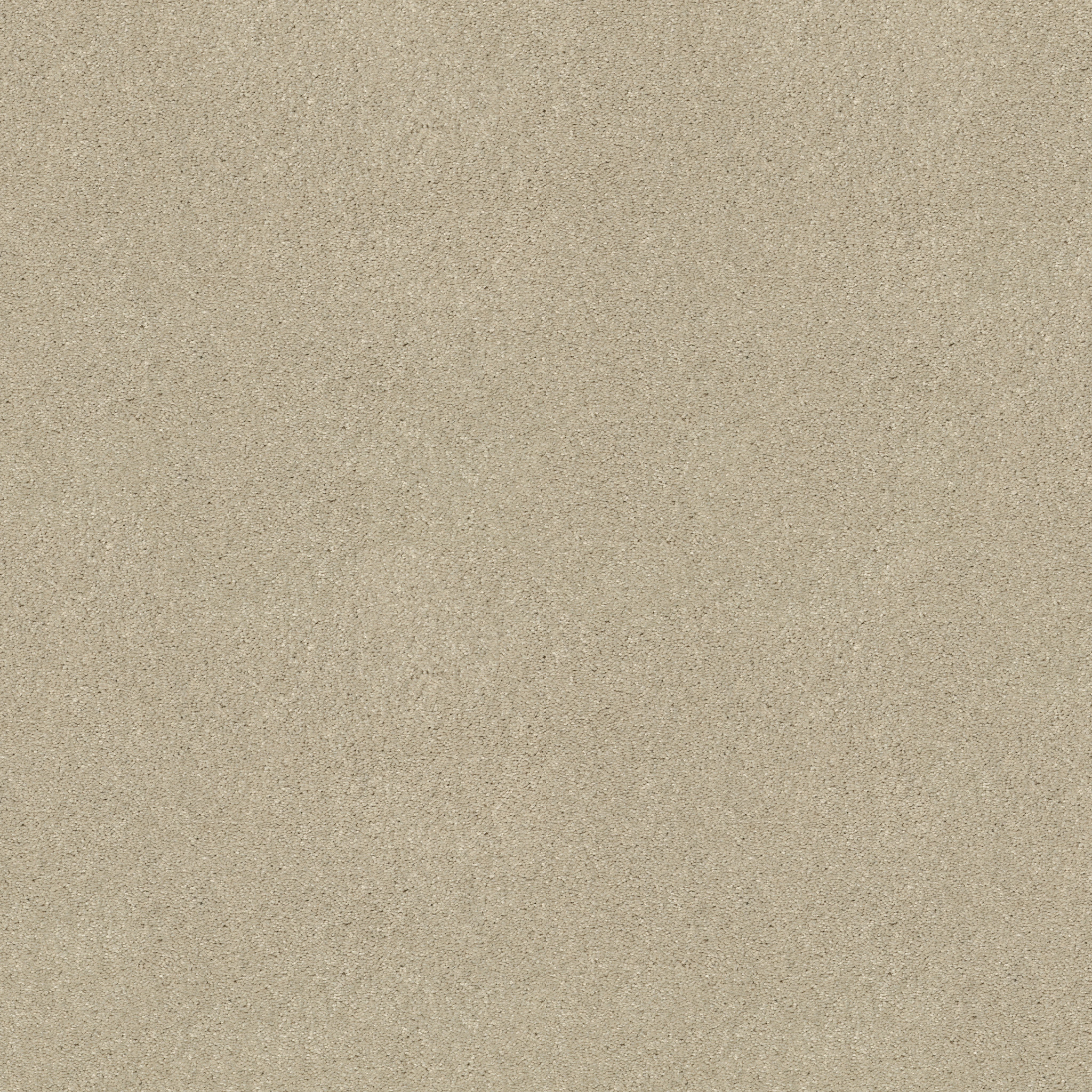 DESIGNER'S CHOICE CREAMY TINT MAIN