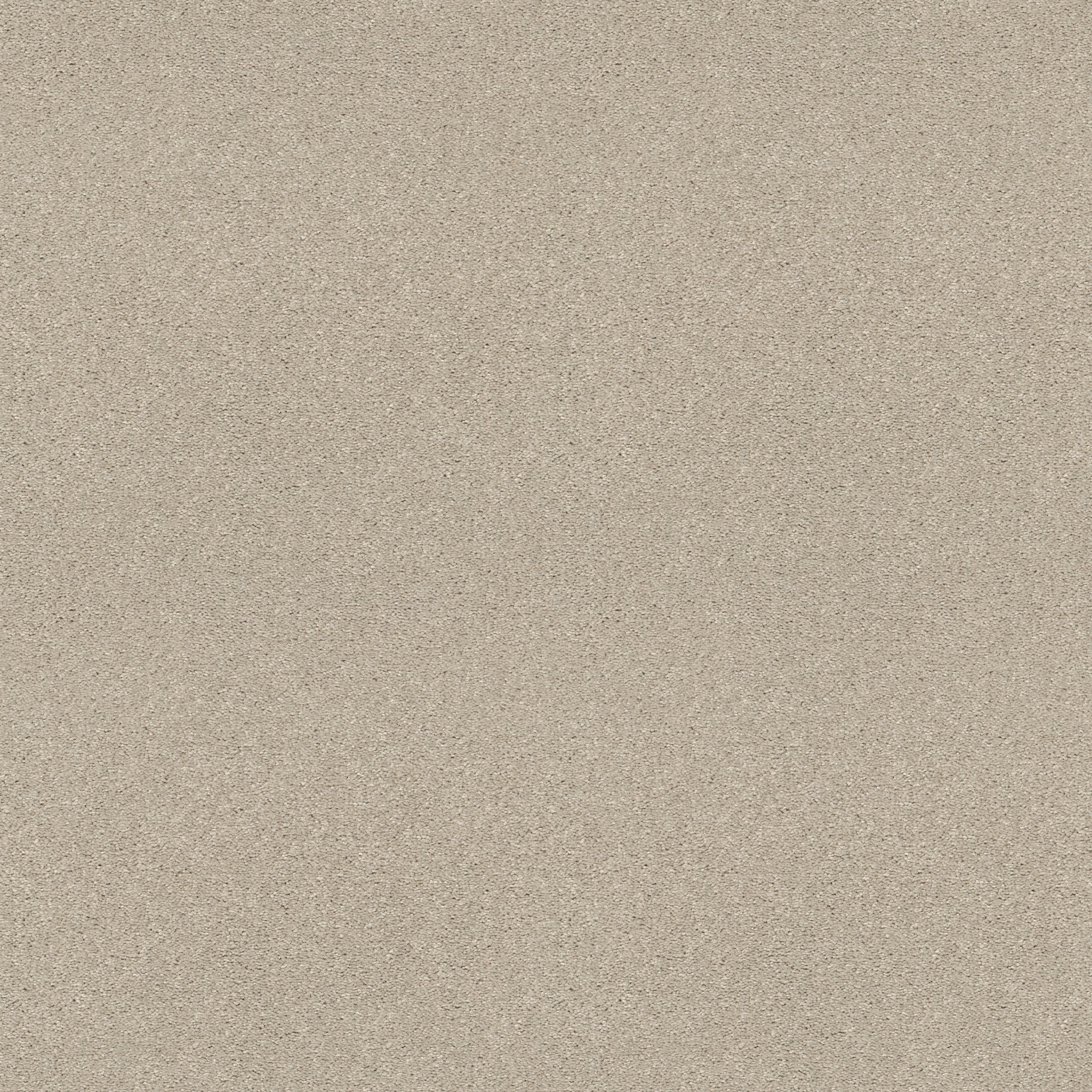 DESIGNER'S CHOICE FRESCO MAIN