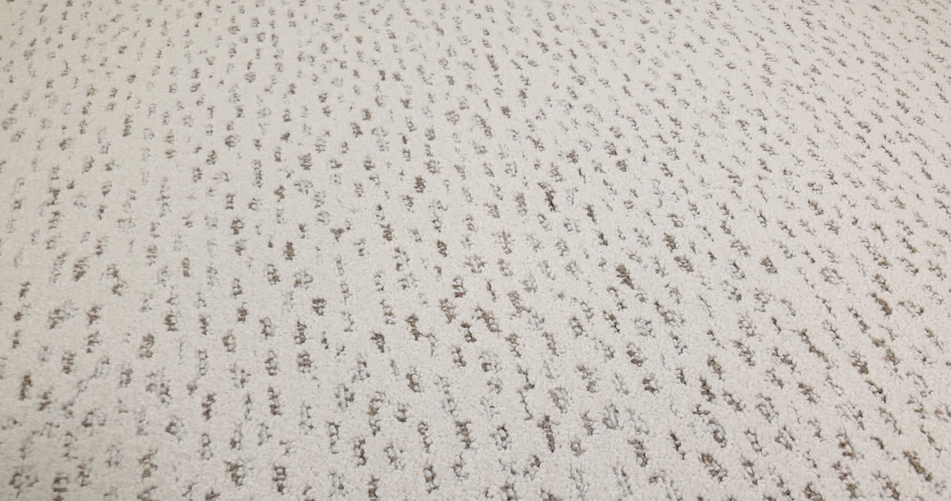 AMBITIOUS CANVAS 360PROD