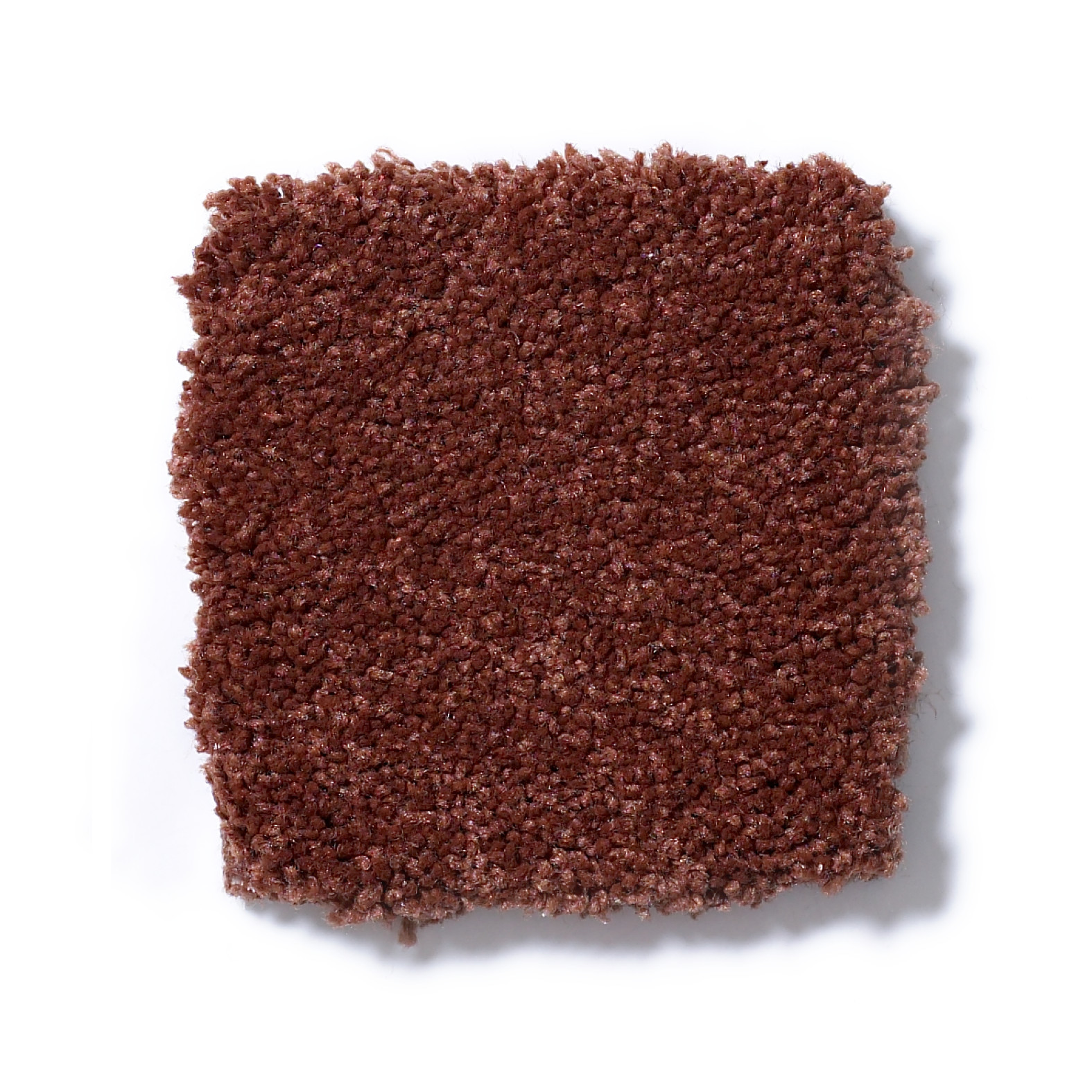 MAGIC AT LAST I 12' SPICE SWATCH