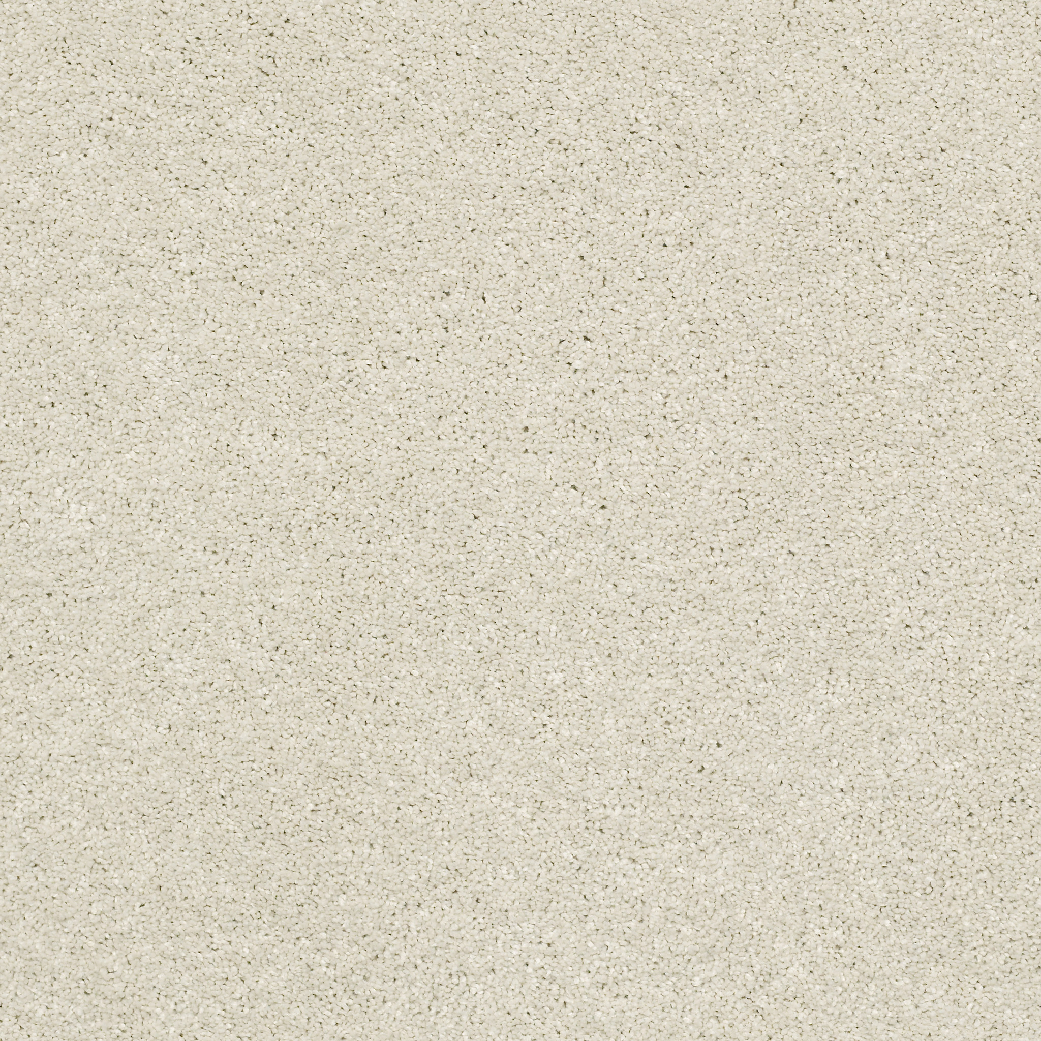 BASIC RULES CREAMERY MAIN