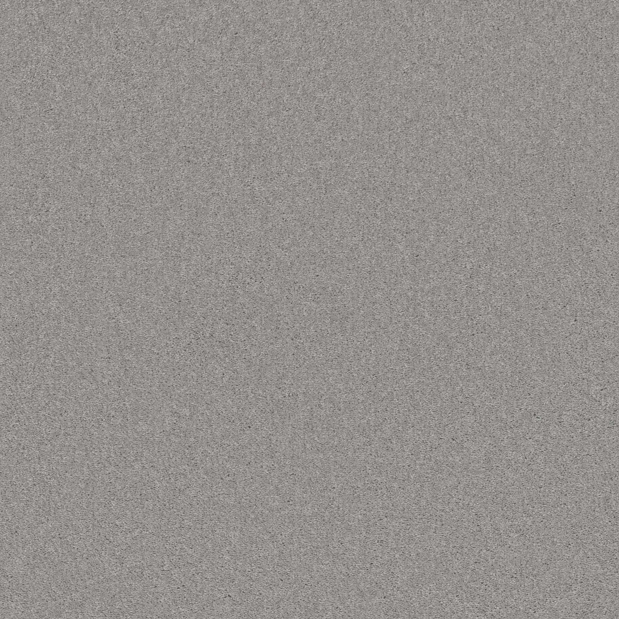 BEAUTIFULLY SIMPLE I 15' DOVE TAIL MAIN