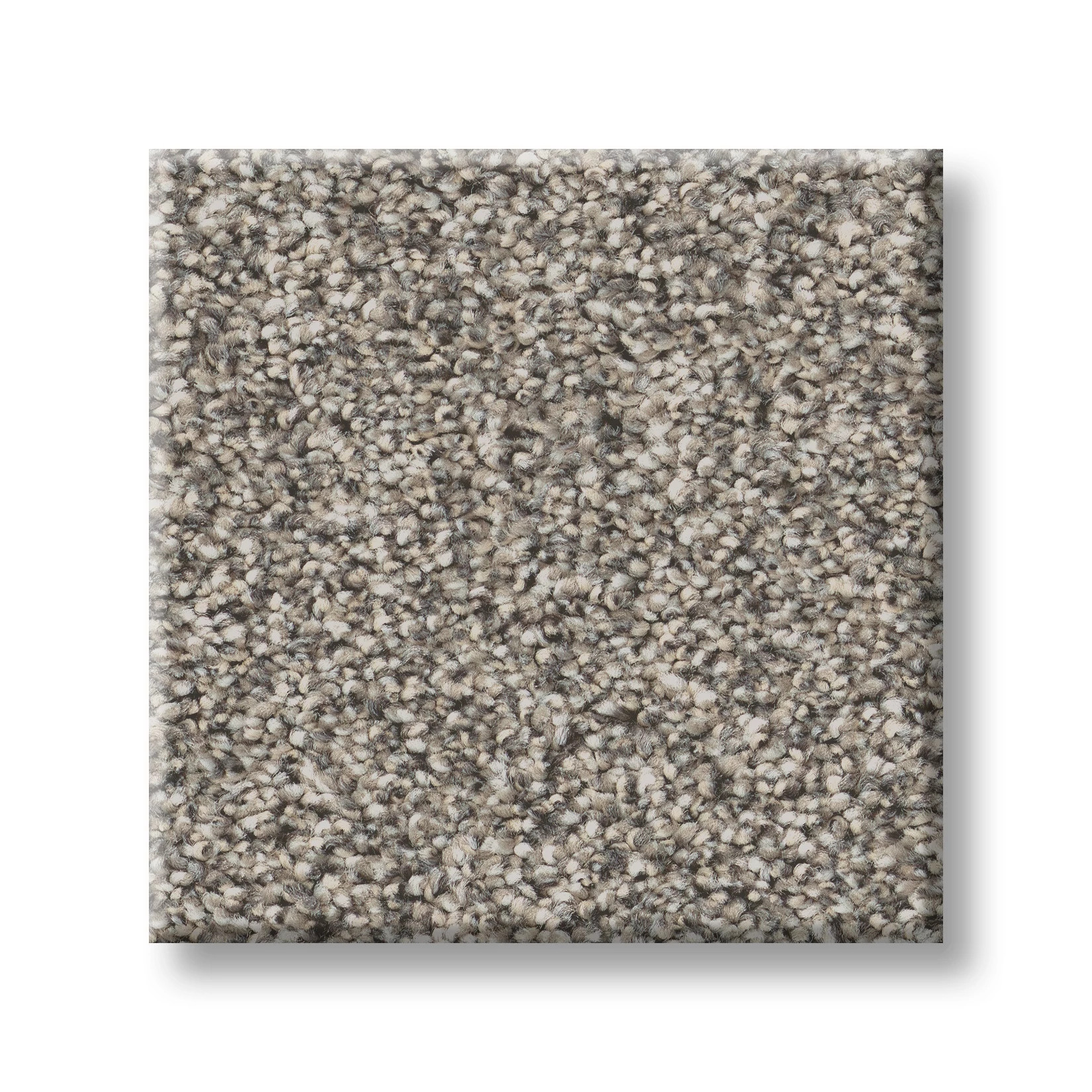 TIMELESS TONE DRIFTWOOD SWATCH