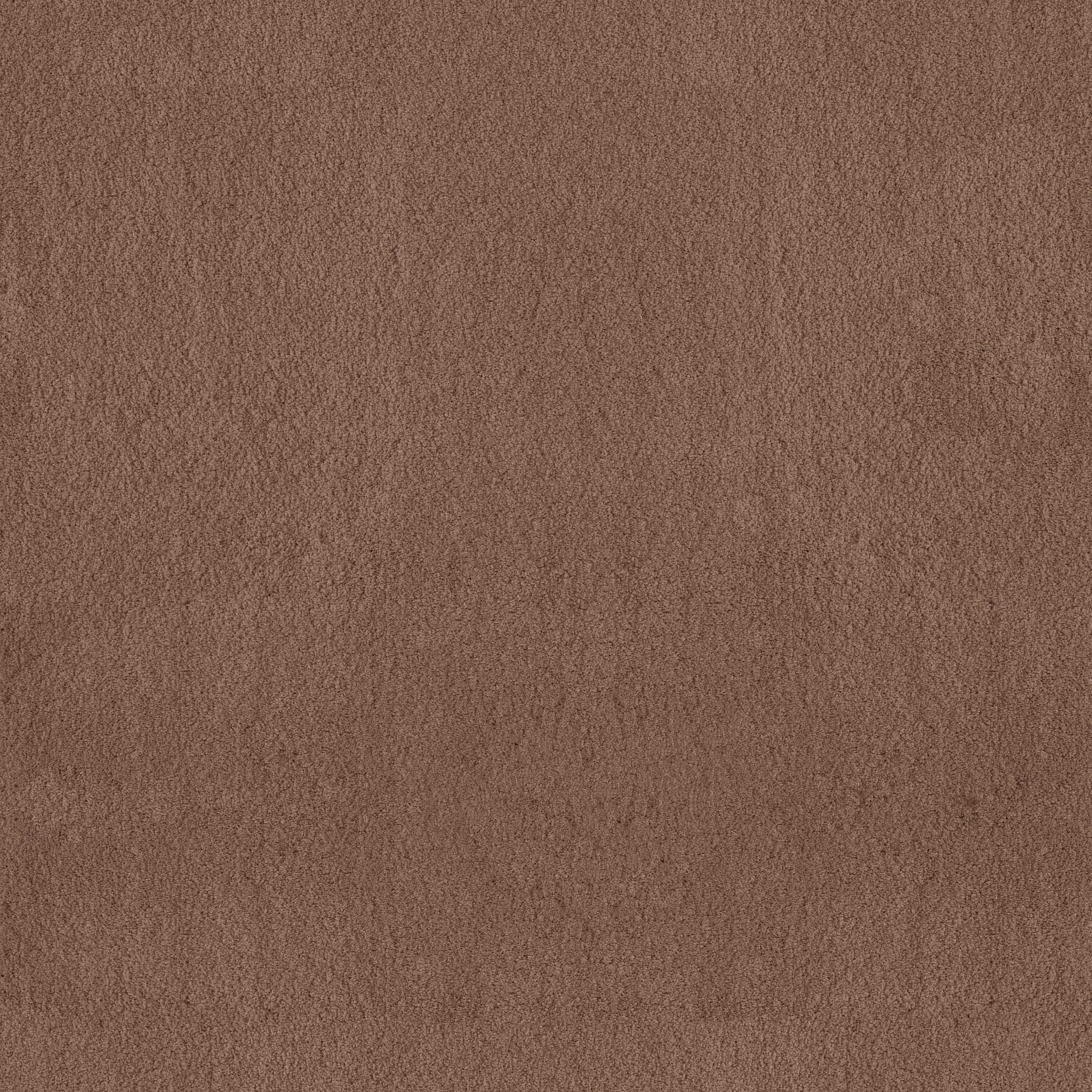 LUXE FEEL II SUGAR MAPLE MAIN