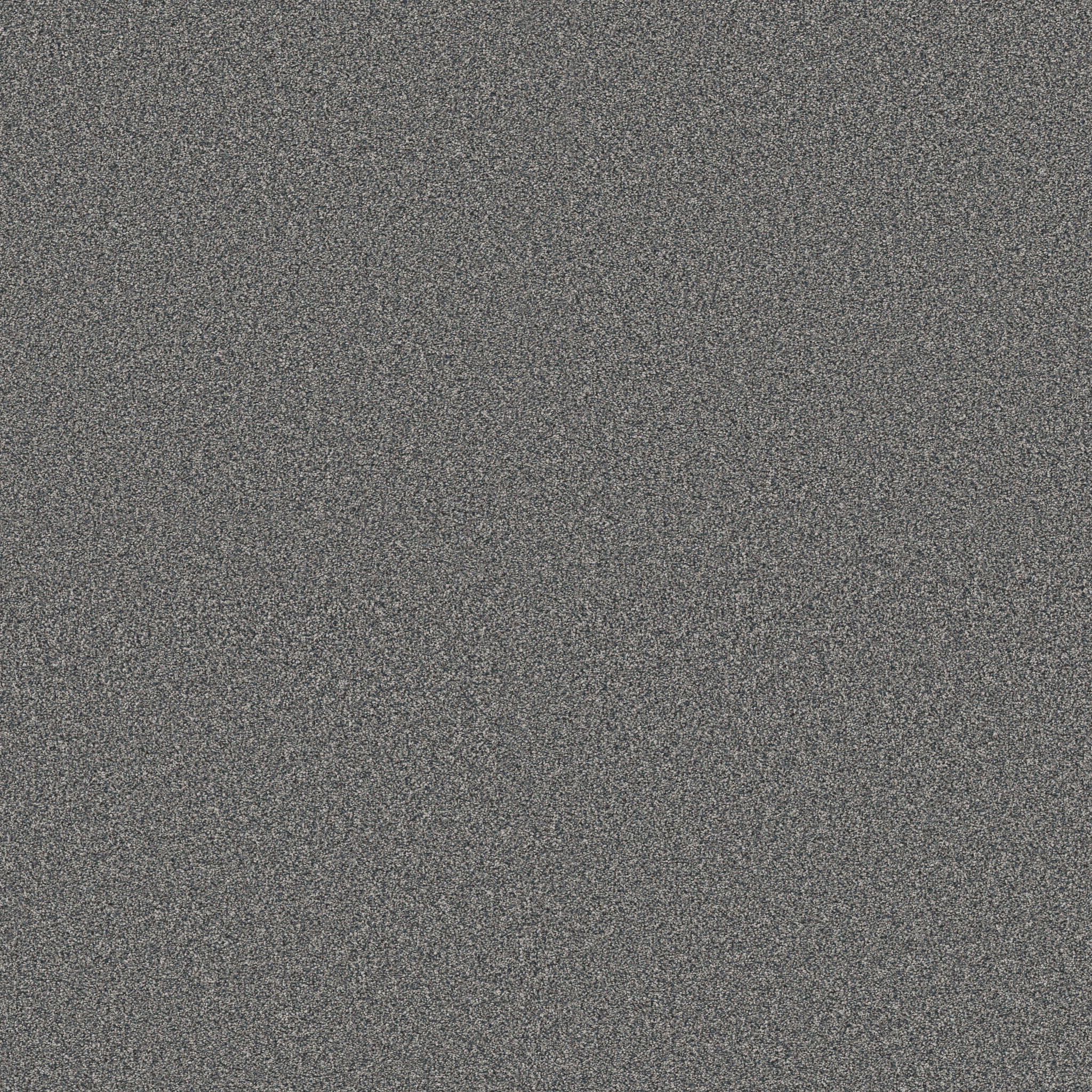 TIMELESS TONE BLUE OCEANIC MAIN