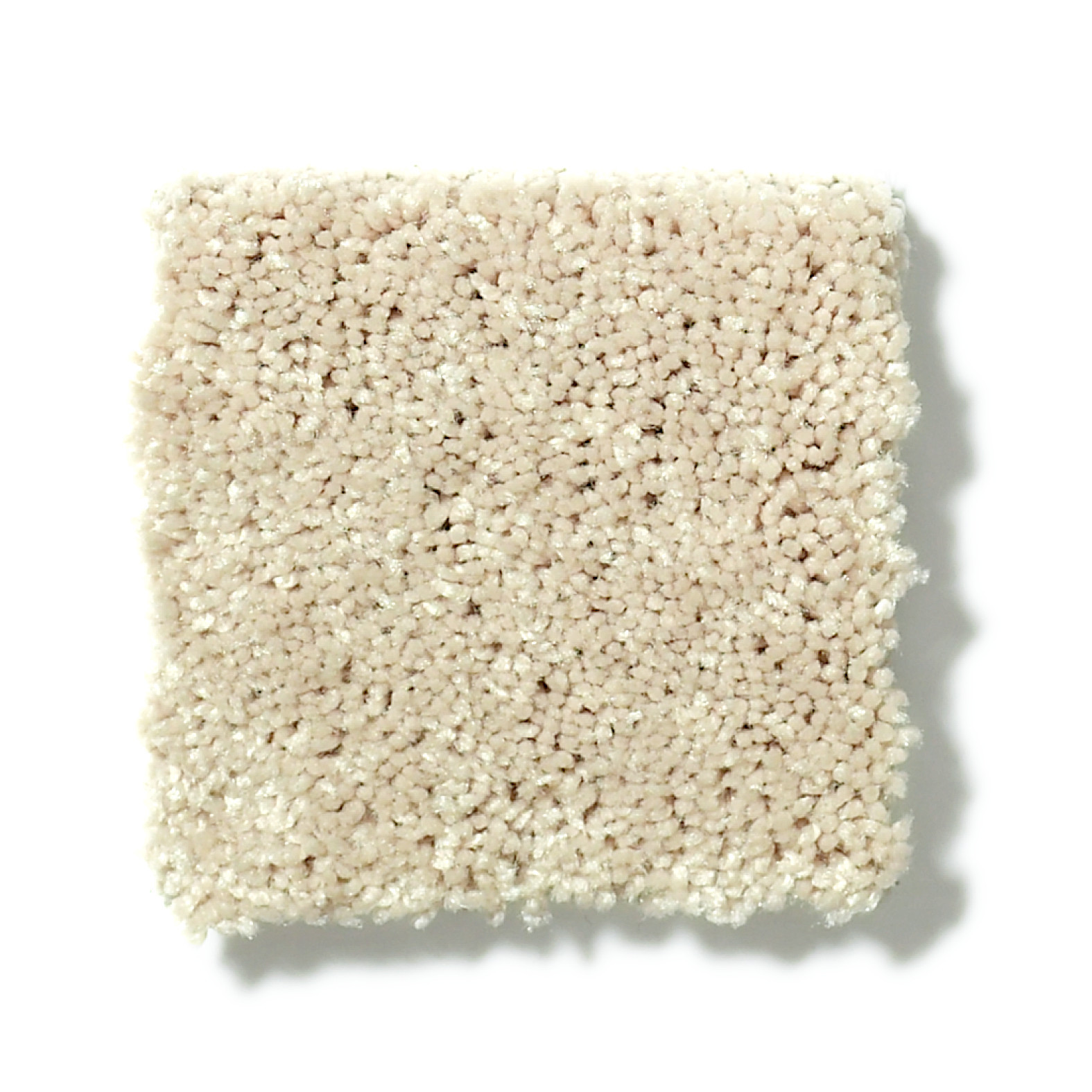 STEP RIGHT UP II 12' AGATE SWATCH