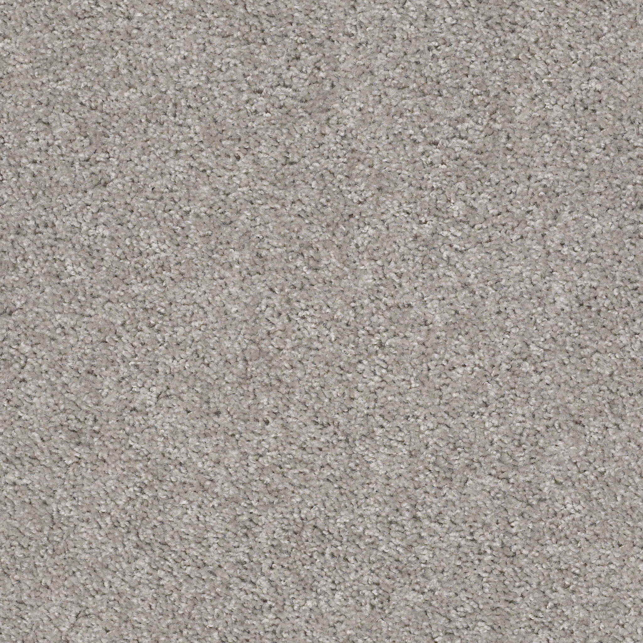 VALIANT LA PALOMA MAIN