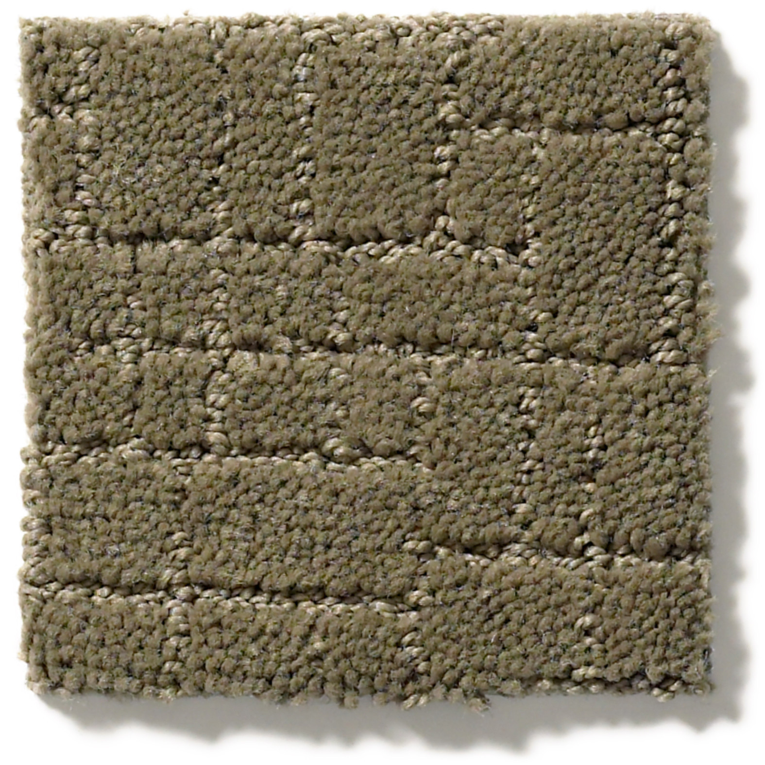 FAUX PAW DRY SAGE SWATCH