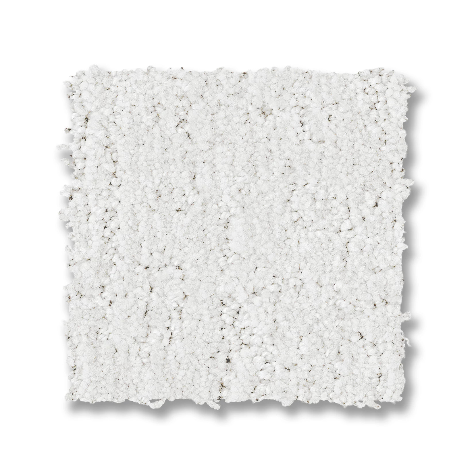 Indulgent - 100% ANSO® High Performance Nylon in Stucco