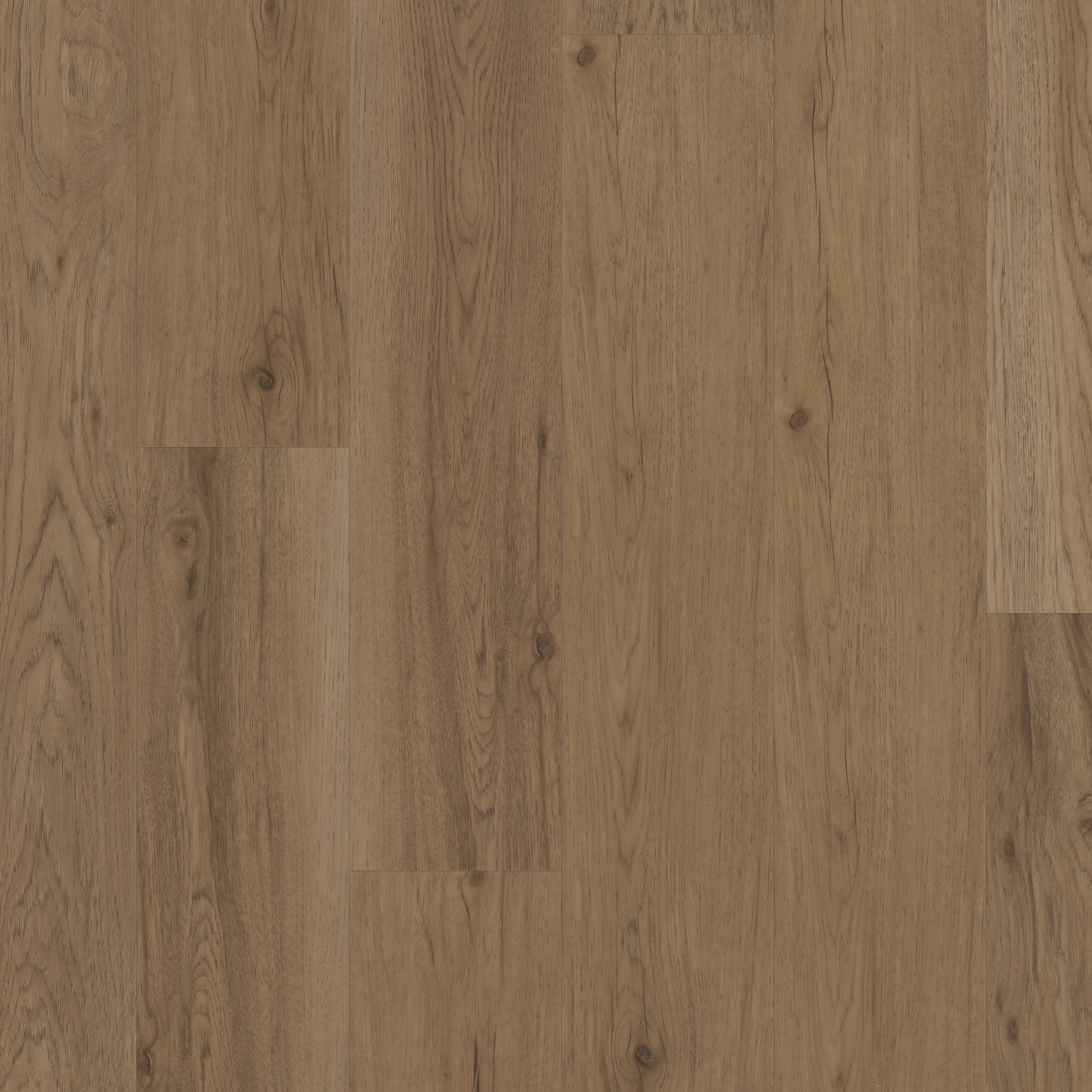 IGNITE TOASTED ALDER MAIN