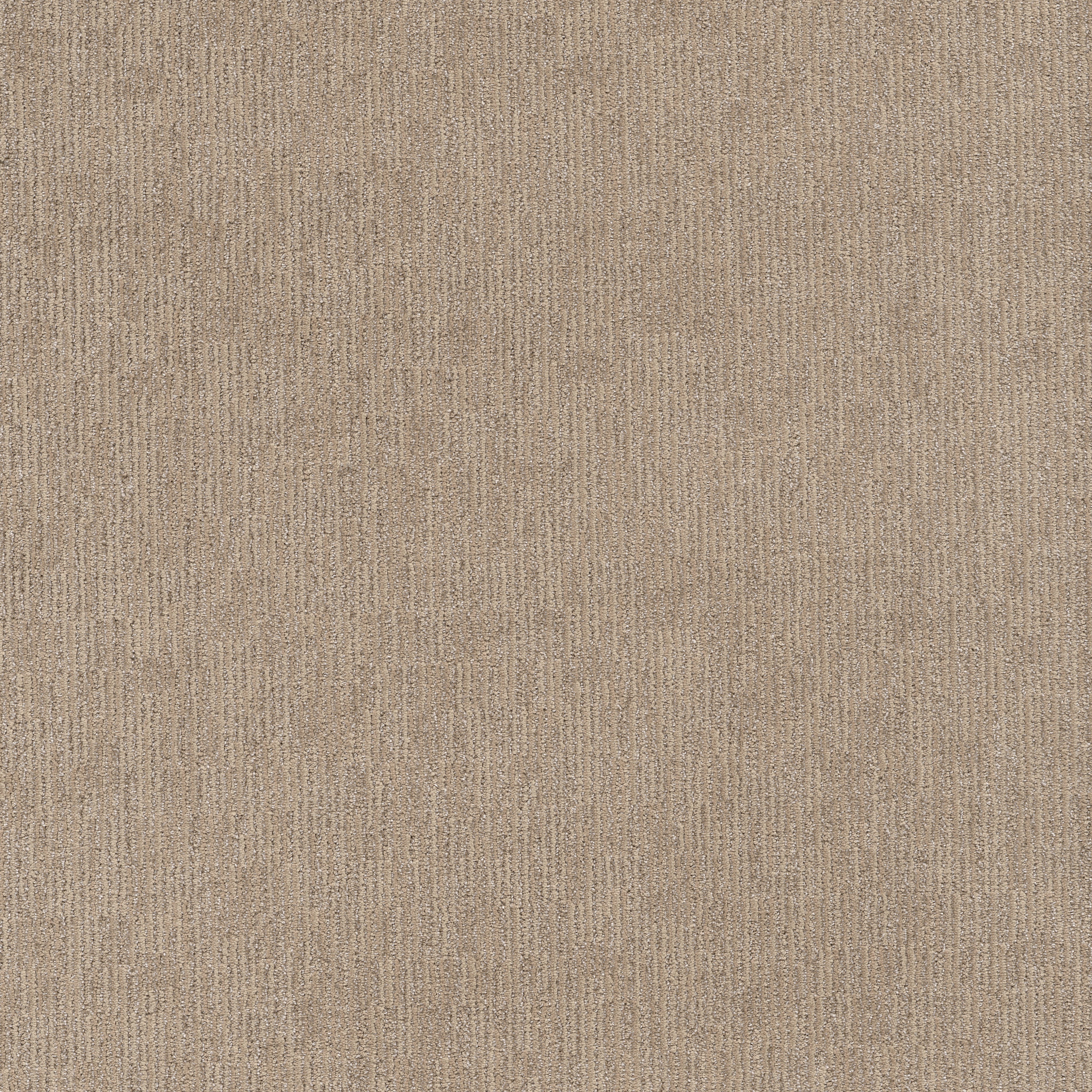 SNEAK PEEK CANYON DUST MAIN