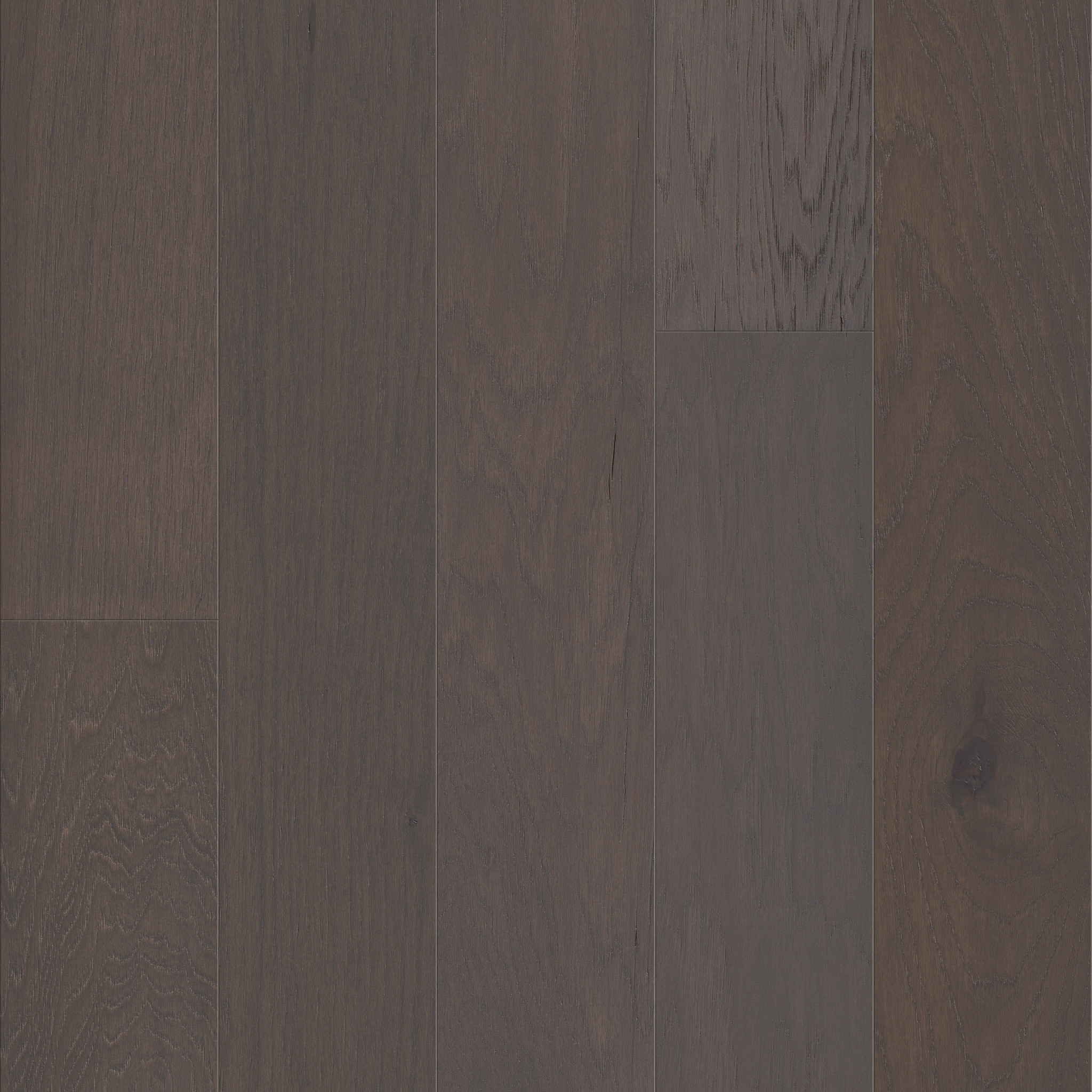Form Fit - in color Brighton | Shaw Floors