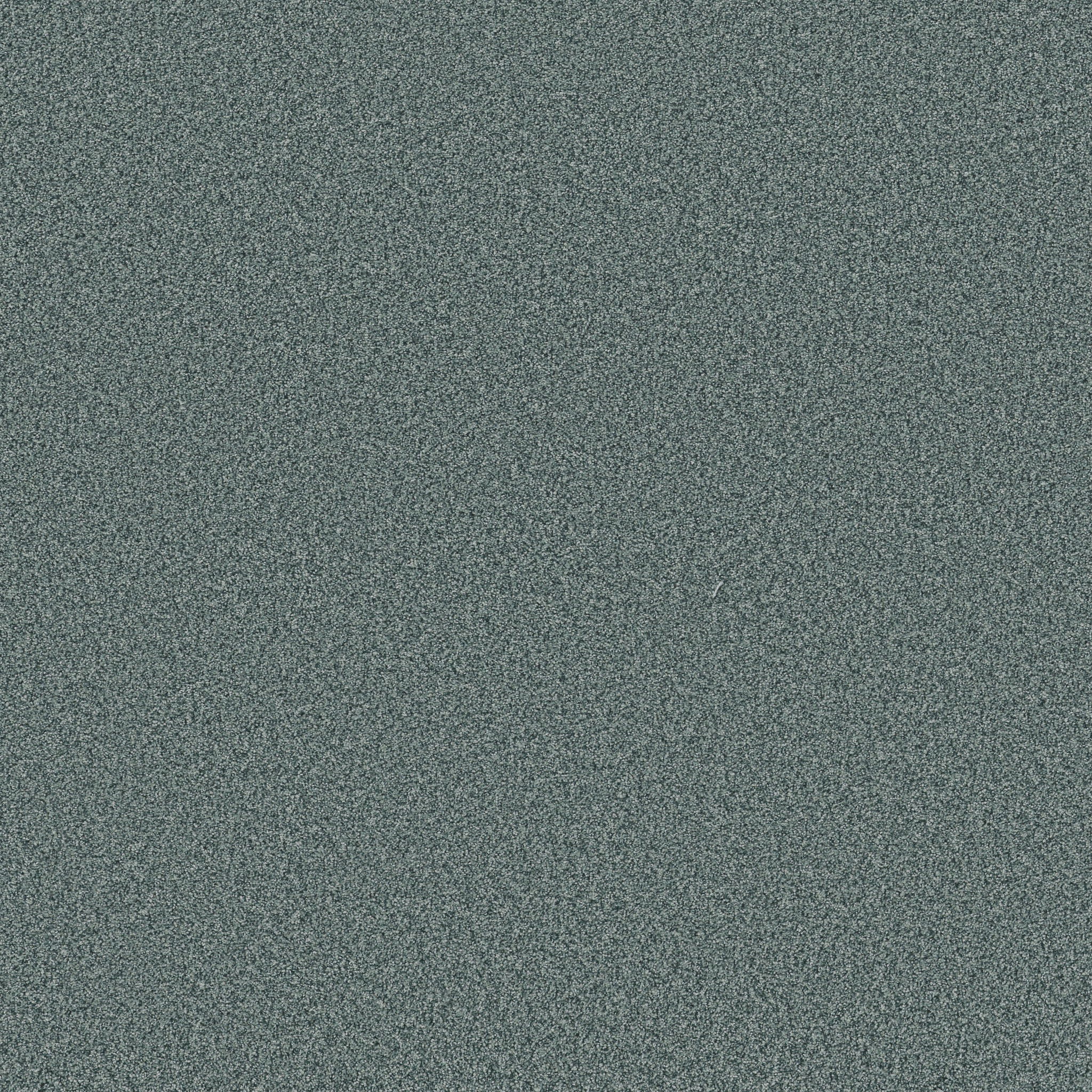 FABULOUS SPLASHY MAIN