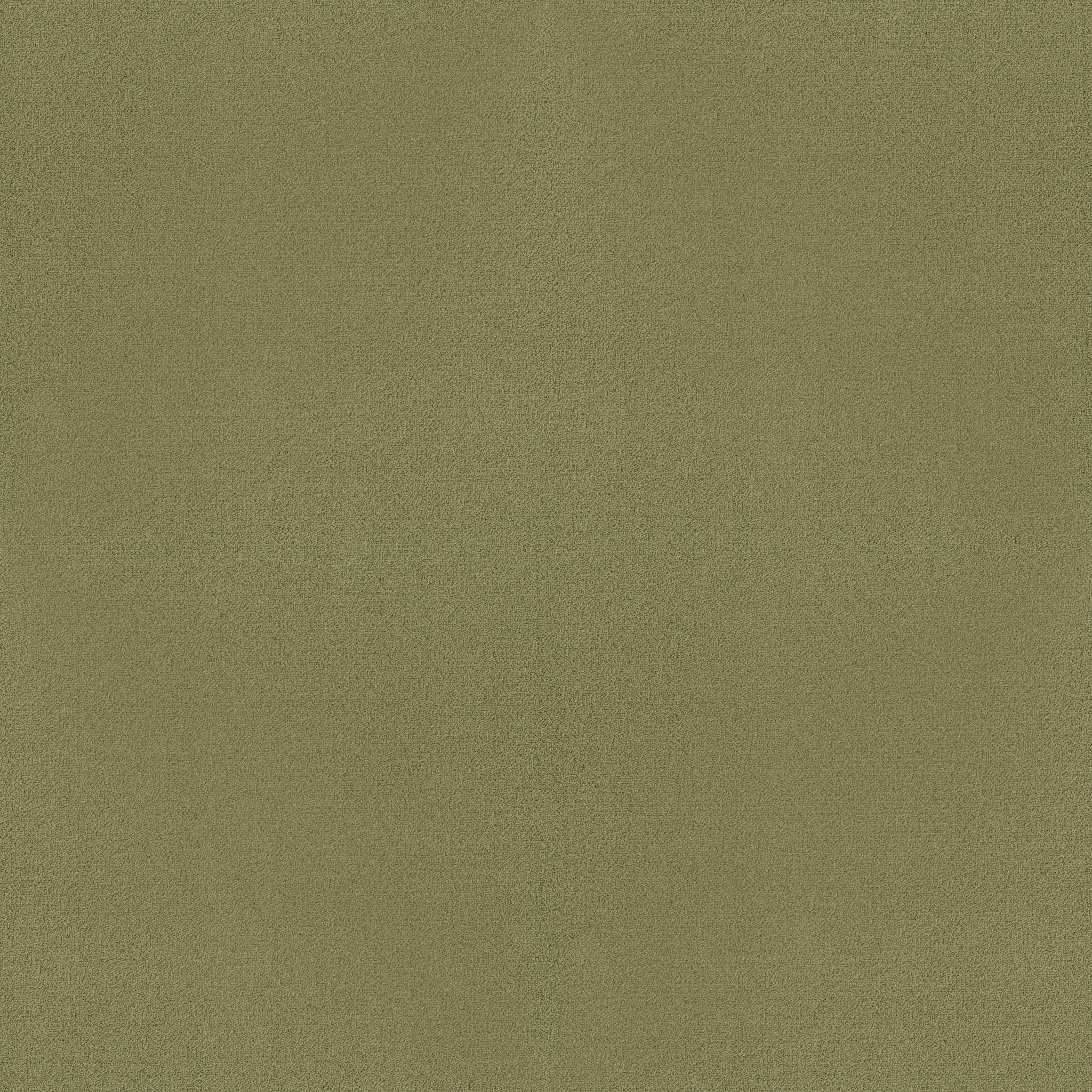 COLOR-ACCENTS-BL-54584-FESCUE-62545-main-image