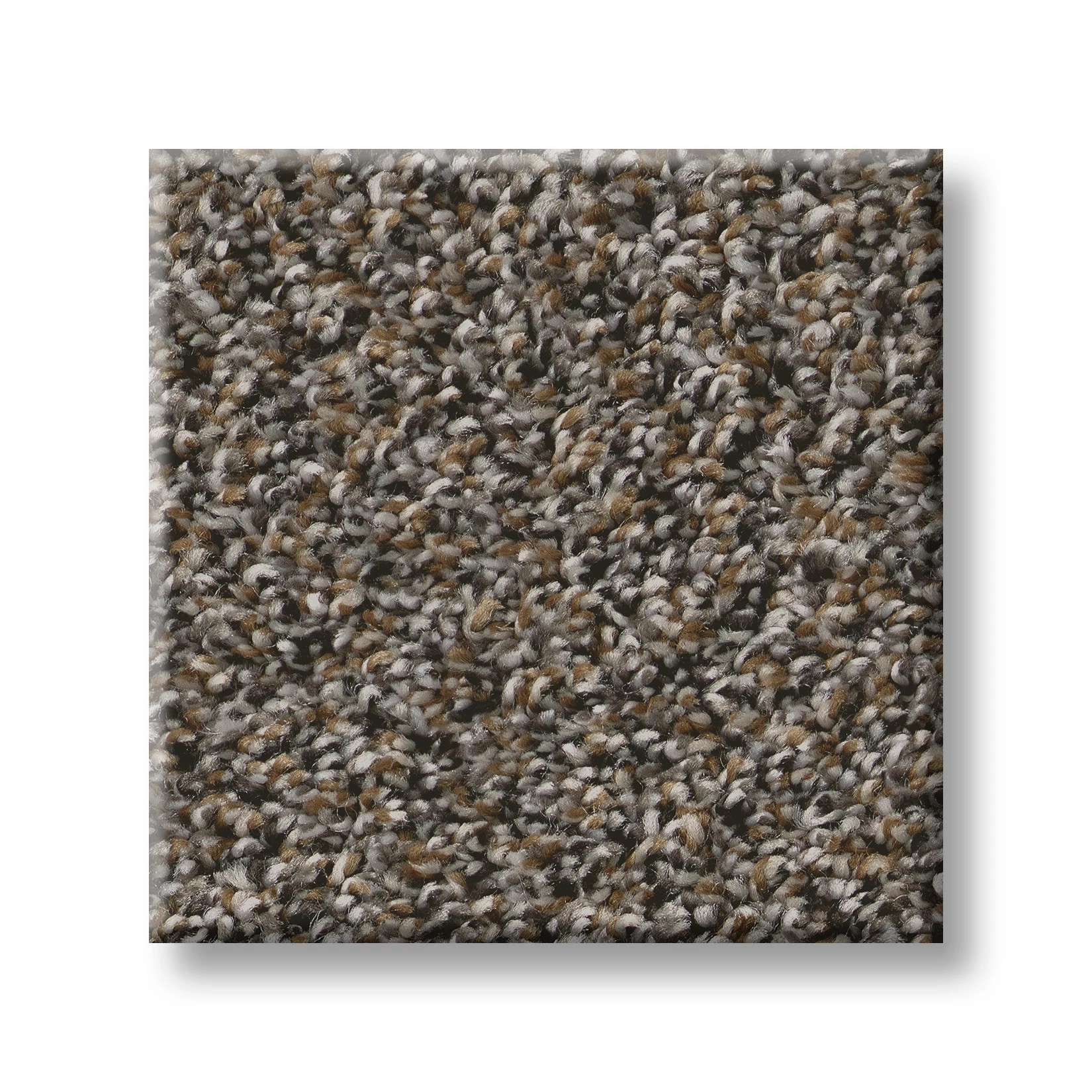 SOFT RADIANCE TREE BARK SWATCH