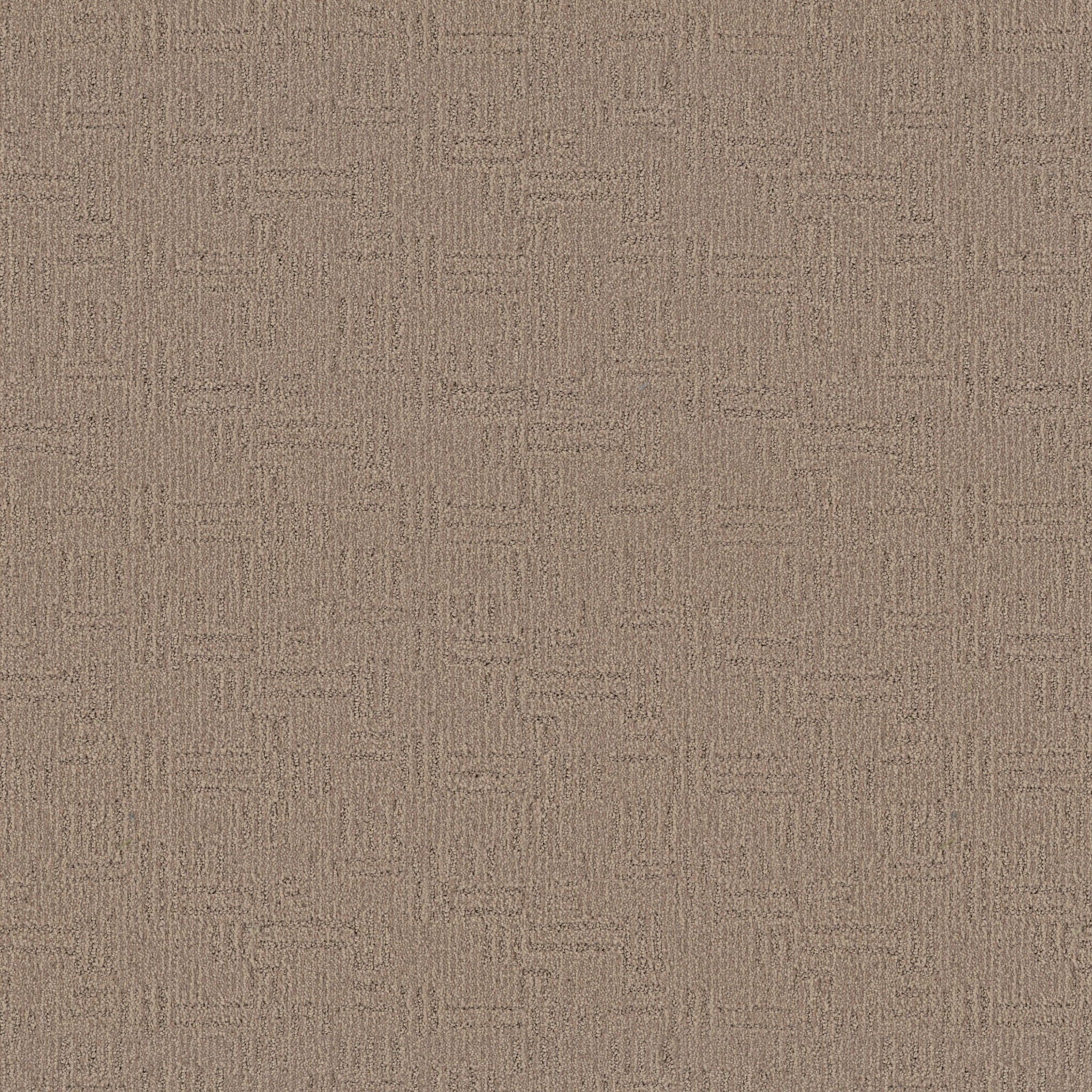 DIEGO BAY SHORE MAIN