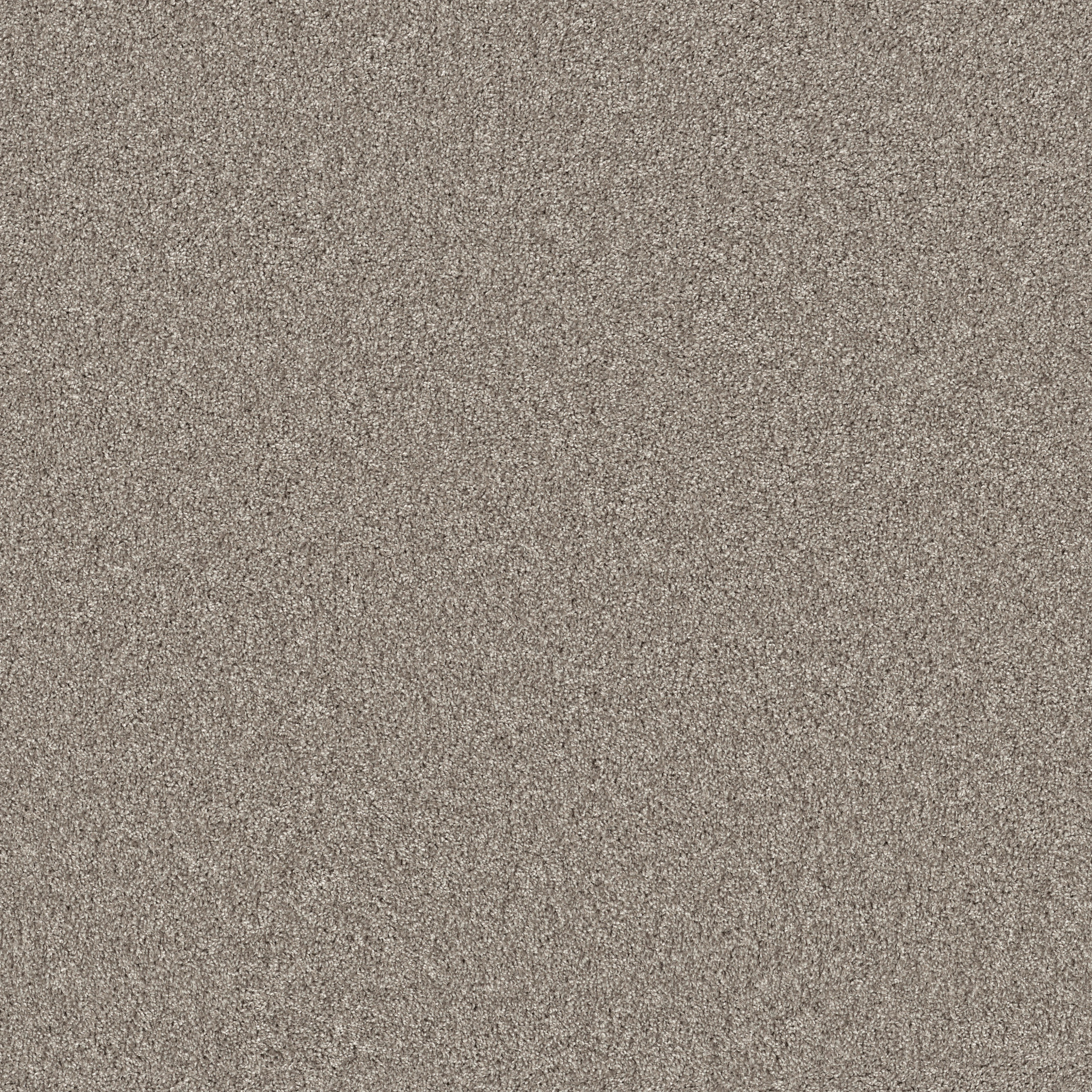 AGILITY BARELY THERE MAIN