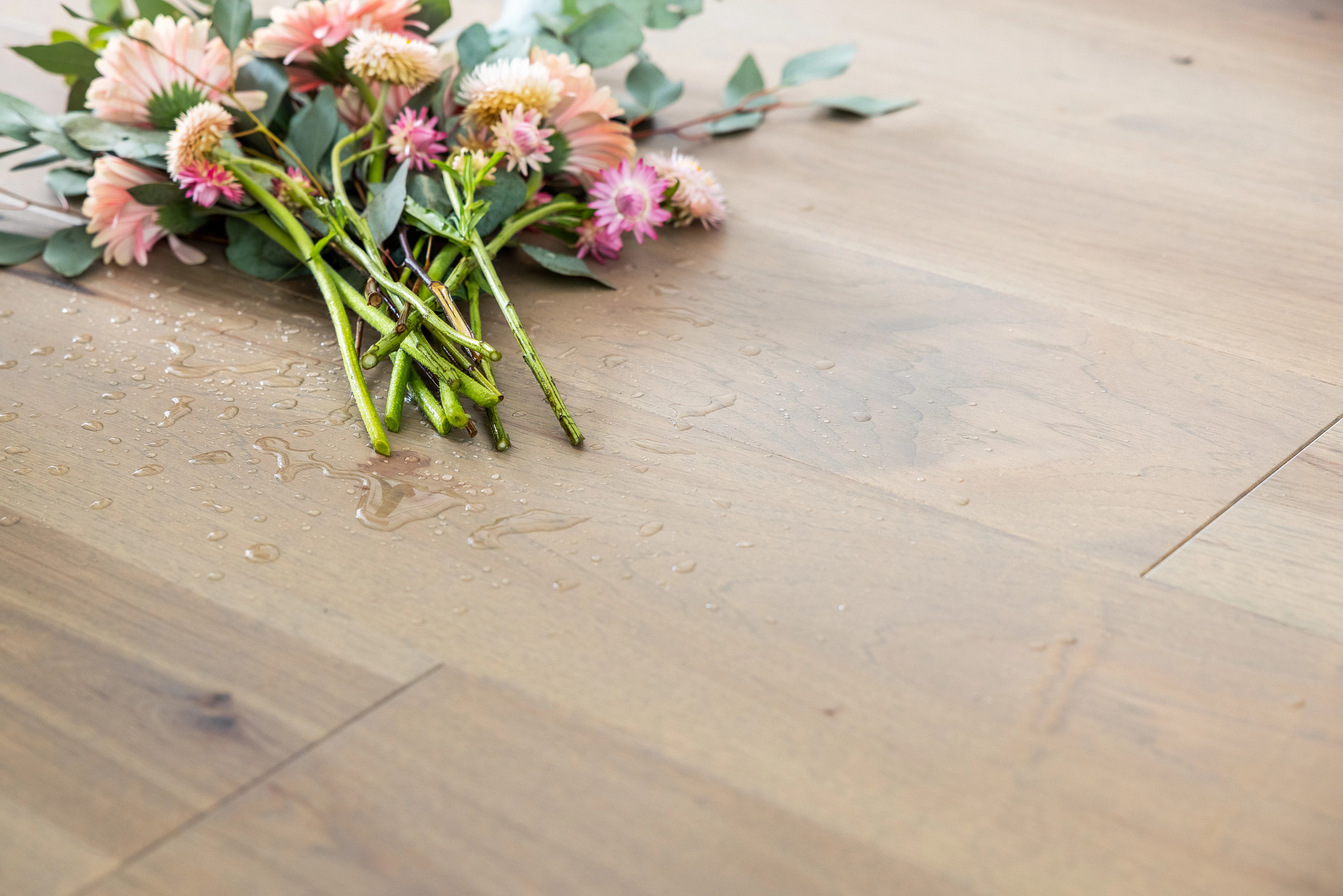 Flowers on Repel hardwood floor