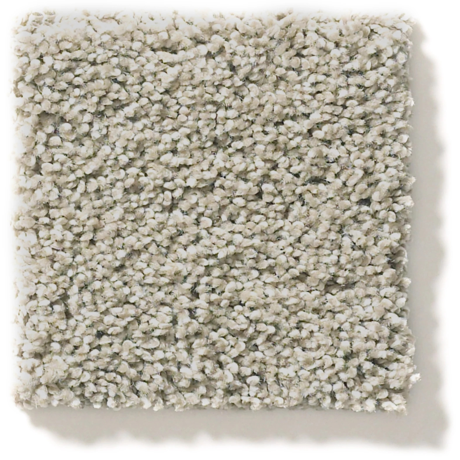 ACROSS THE BAY SHADOW SWATCH