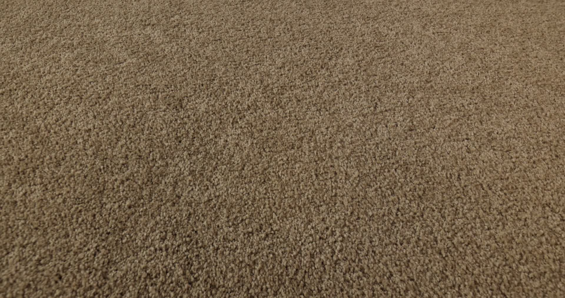 MY CHOICE I TWIG 360PROD