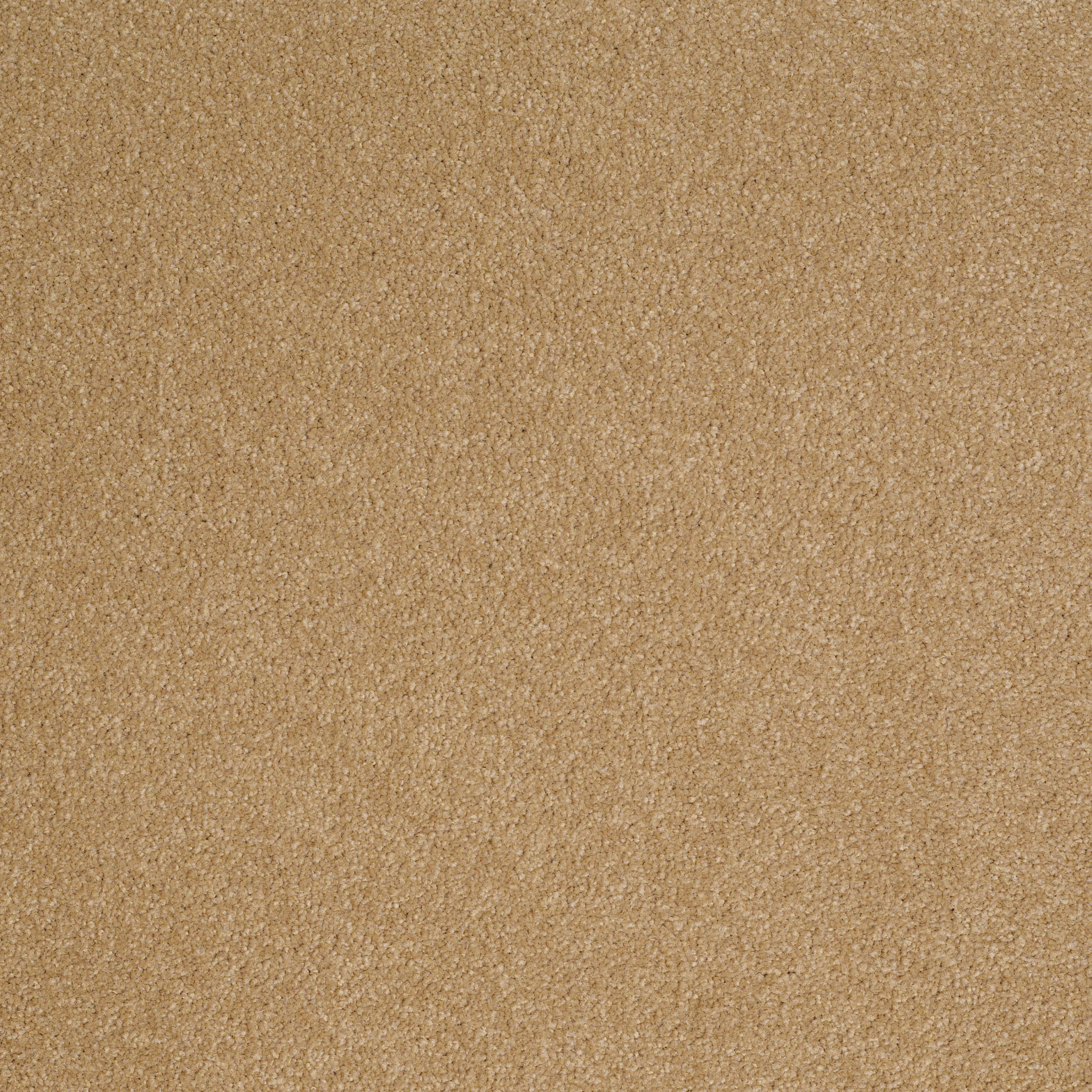 SHINGLE CREEK III 12' CORK MAIN