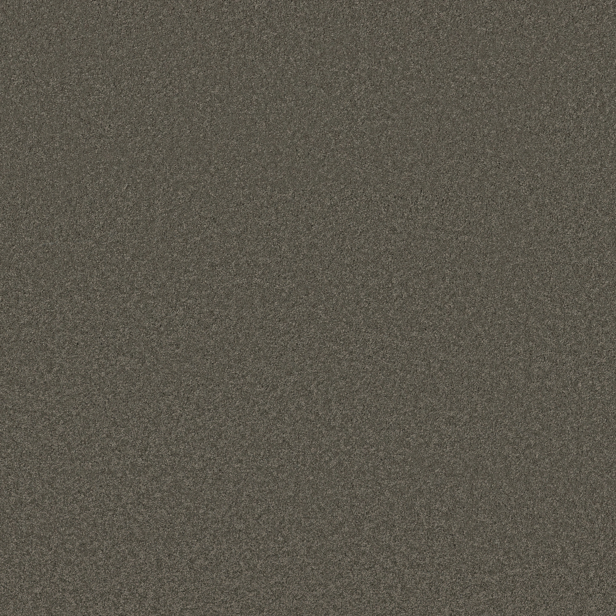 Elegant Beauty - 100% ANSO® High Performance Nylon in Tapioca