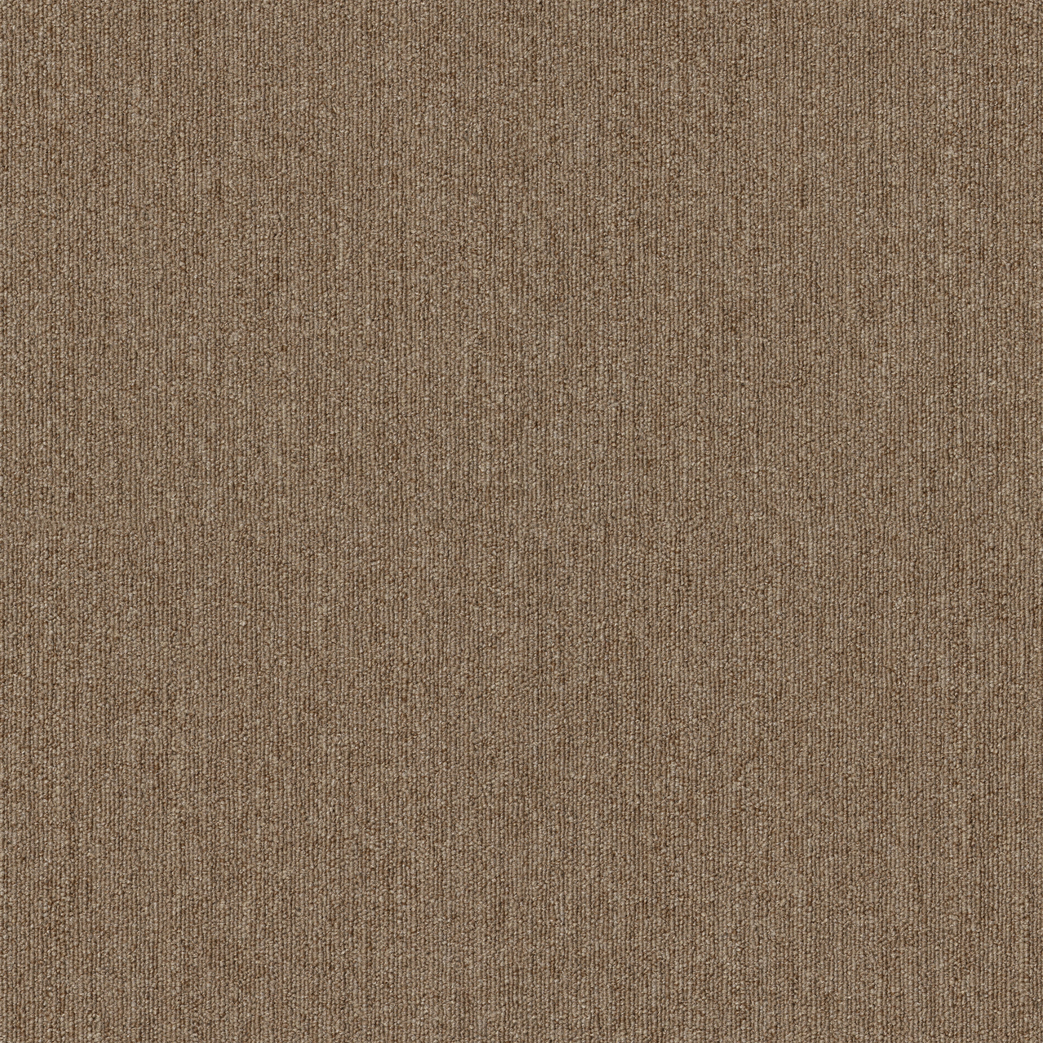 PROFUSION-TILE-54931-AMPLE-00230-main-image