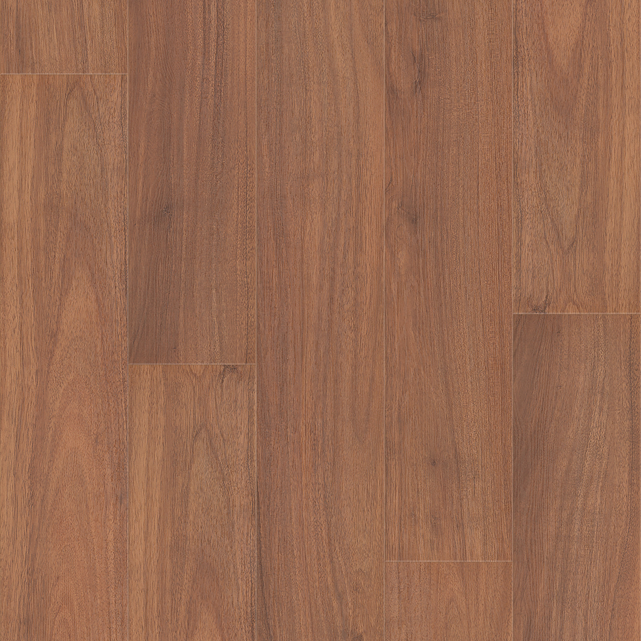 MAUKA TO MAKAI PALI NOTCH KOA MAIN