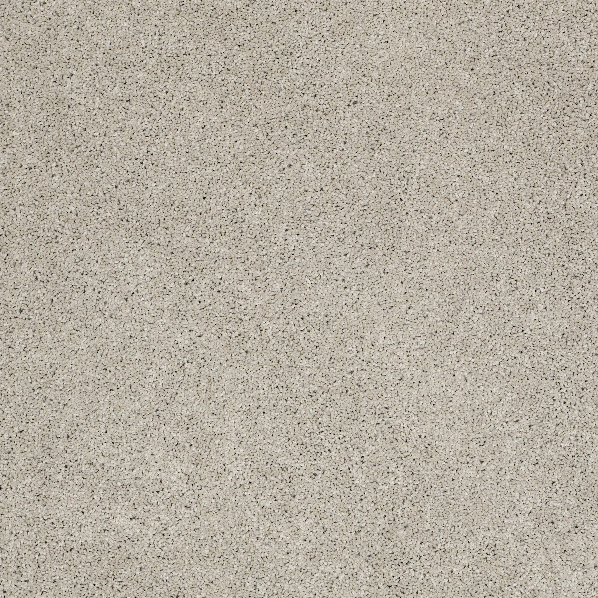 JEALOUSY MINDFUL GRAY MAIN