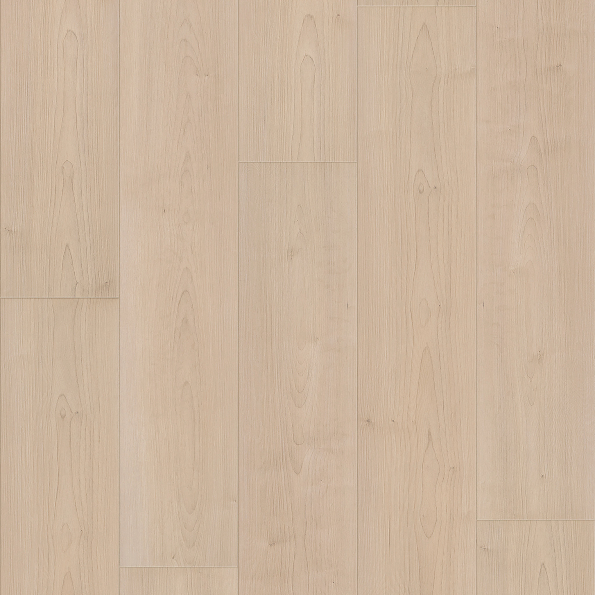 MAUNA MANOA OAK MAIN