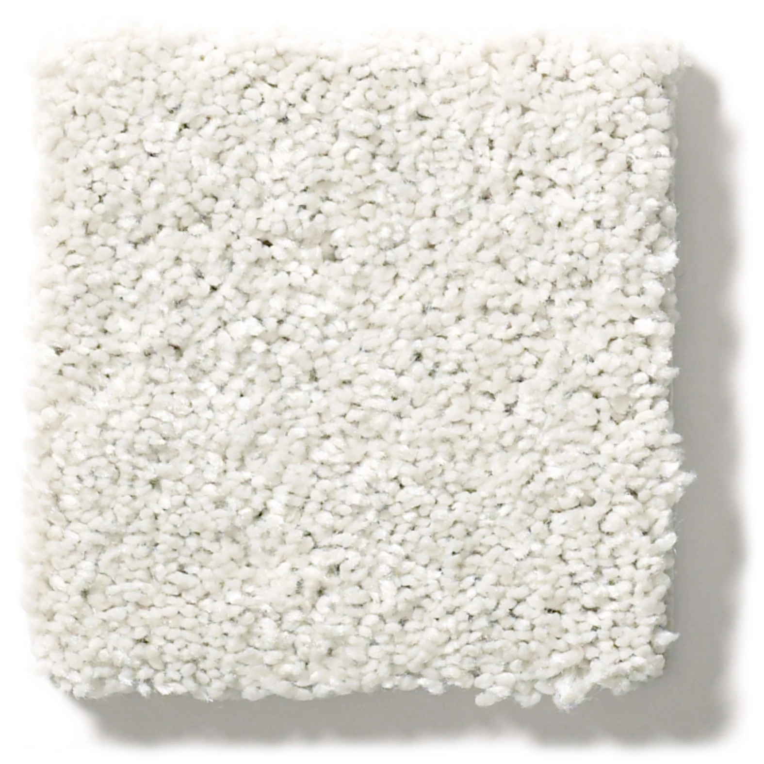 AFTER ALL I EGGSHELL SWATCH